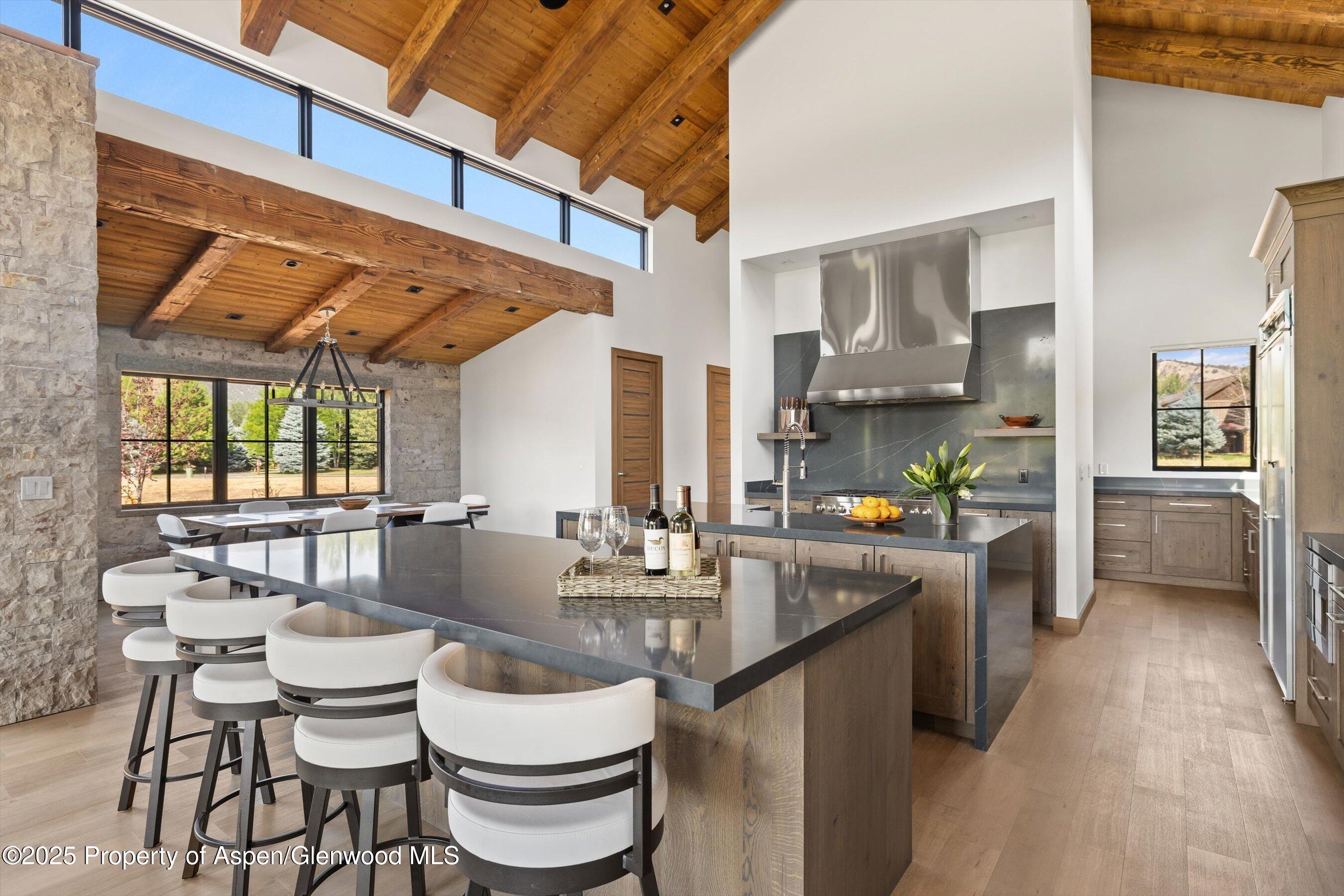 52 Elk Track Lane Carbondale CO 81623