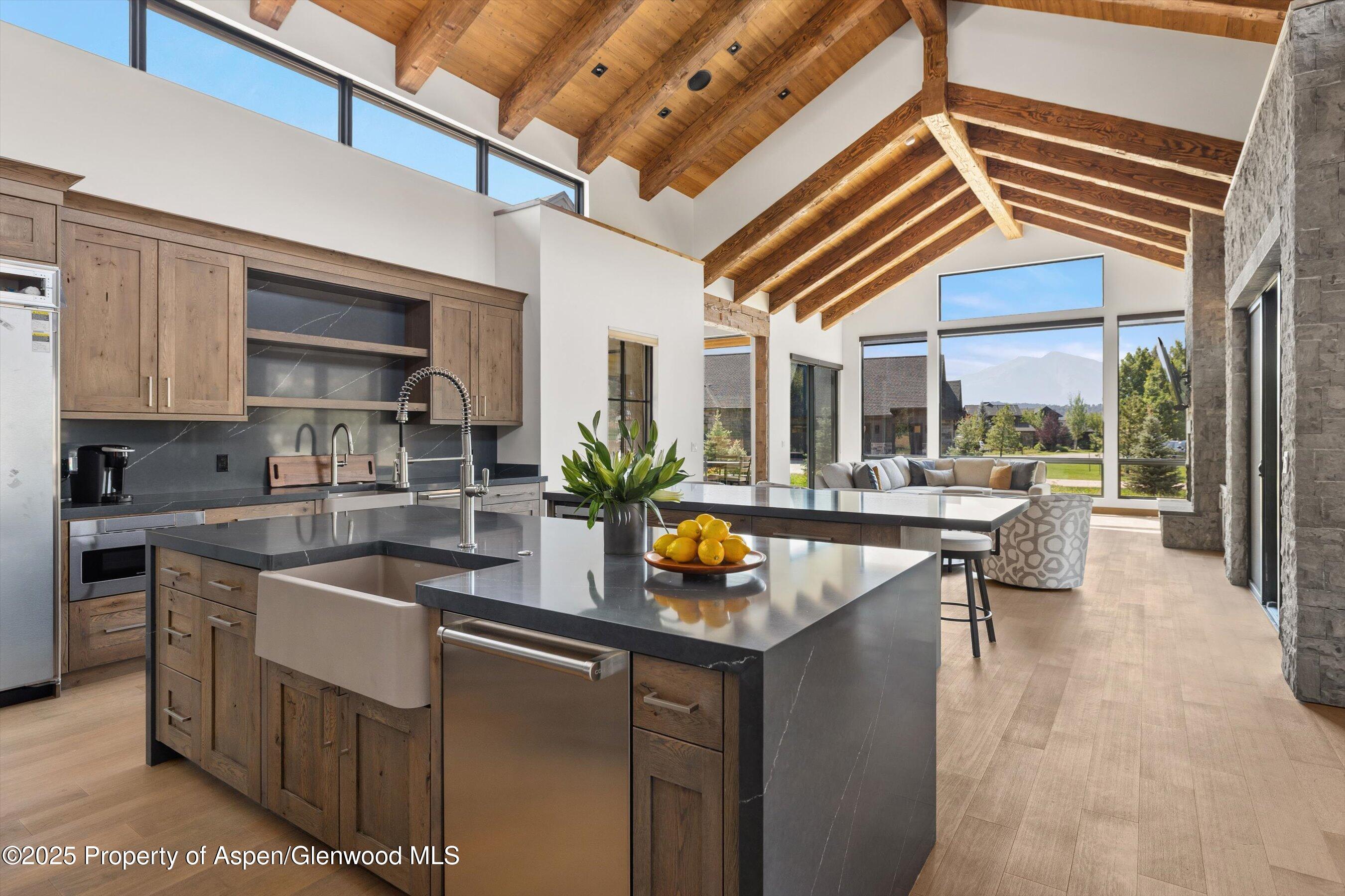 52 Elk Track Lane Carbondale CO 81623