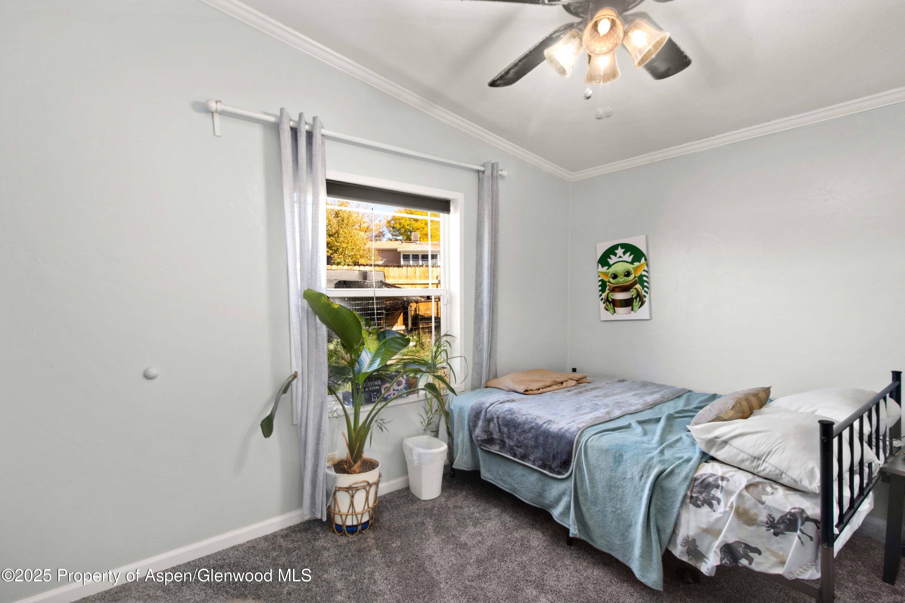 324 Mineral Springs Circle Parachute CO 81635