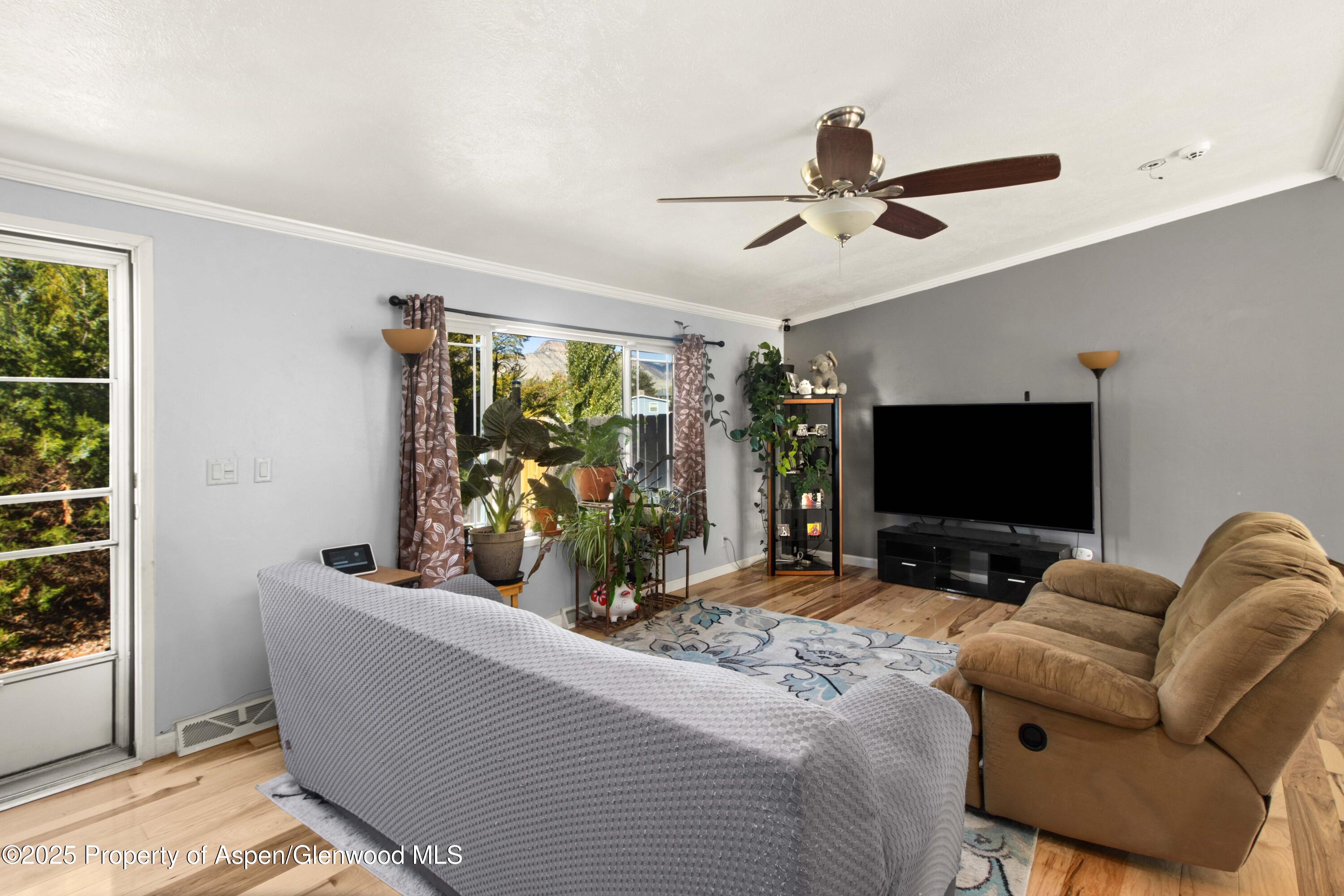 324 Mineral Springs Circle Parachute CO 81635