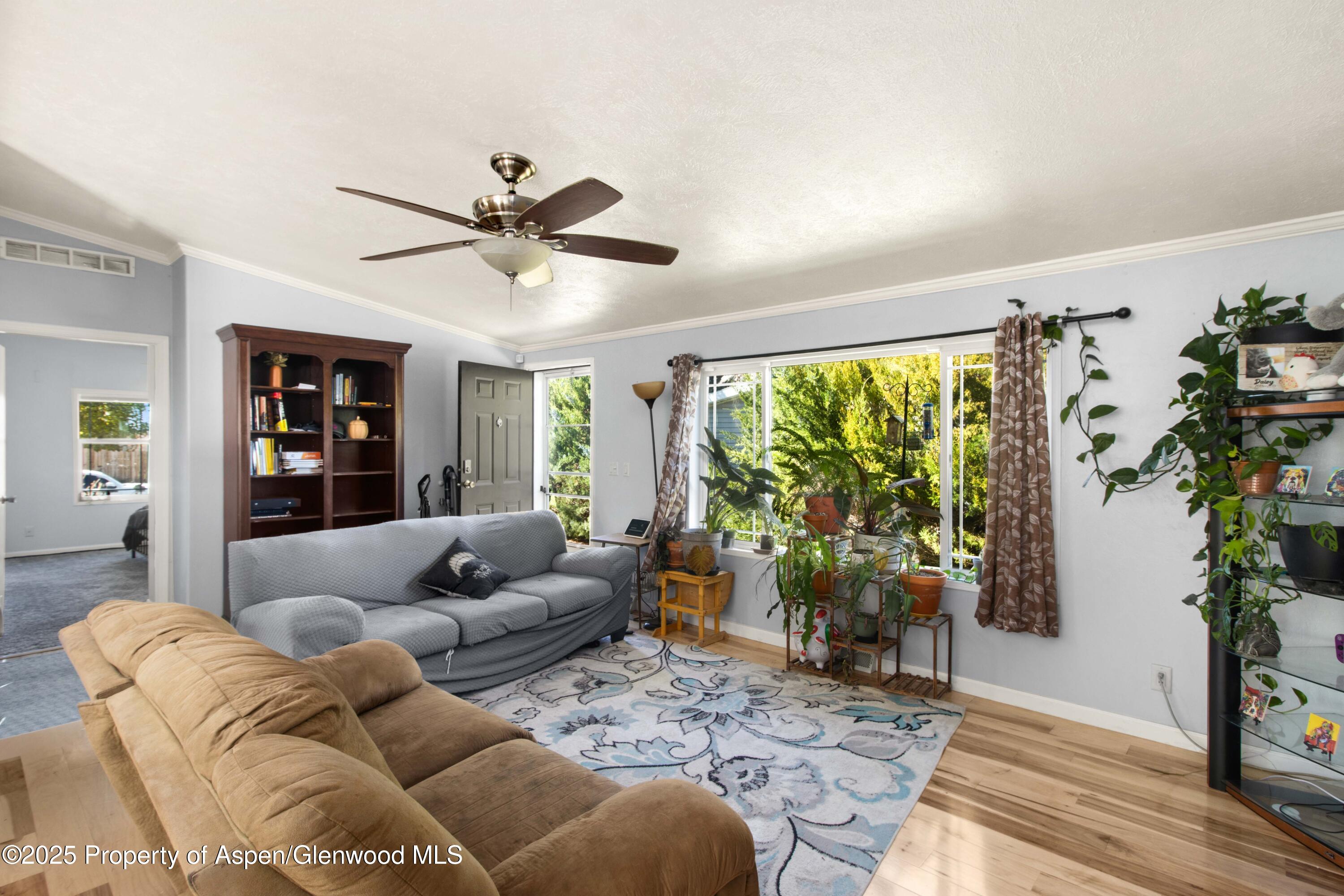 324 Mineral Springs Circle Parachute CO 81635