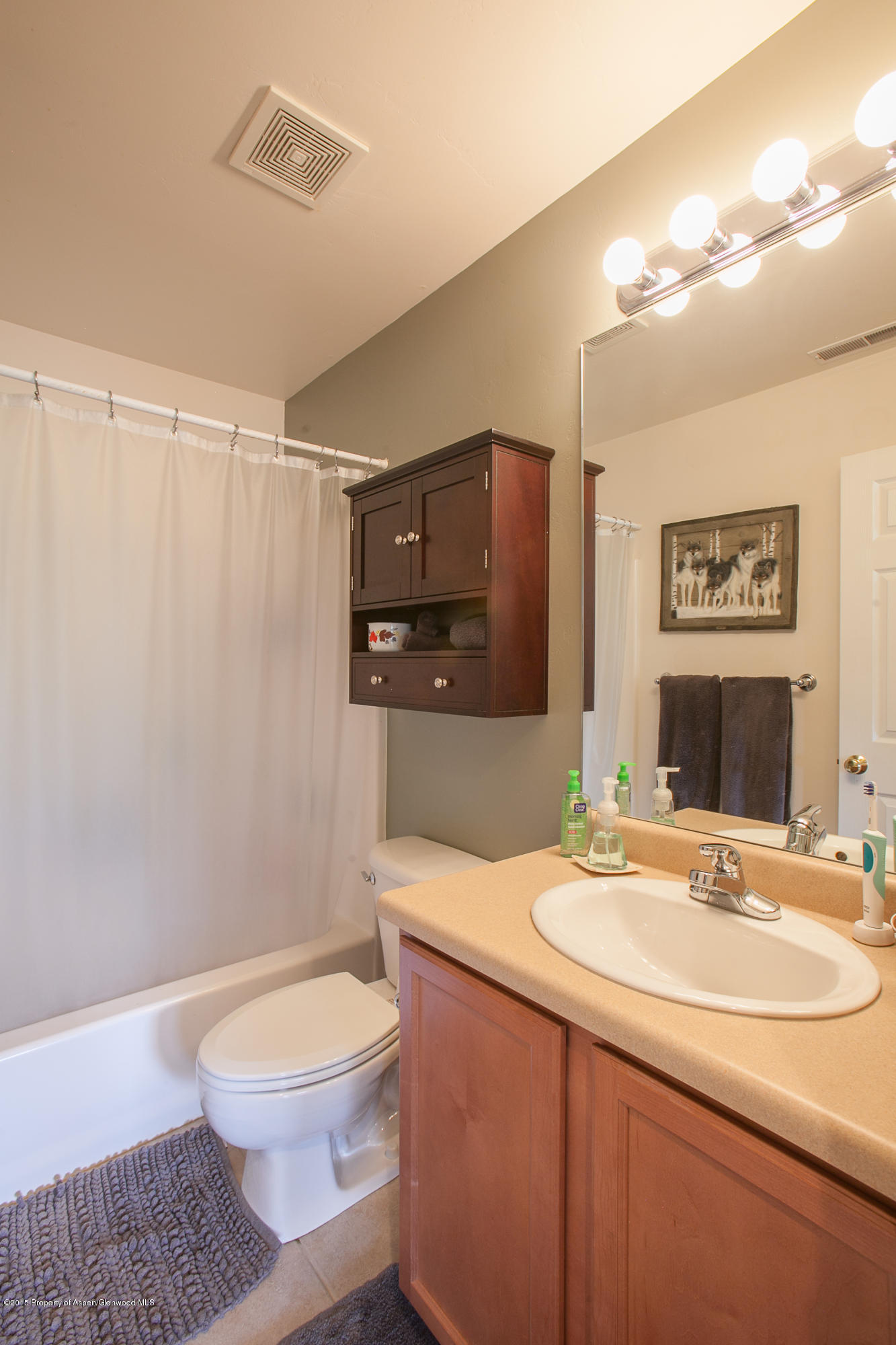 116 Carson Court New Castle CO 81647