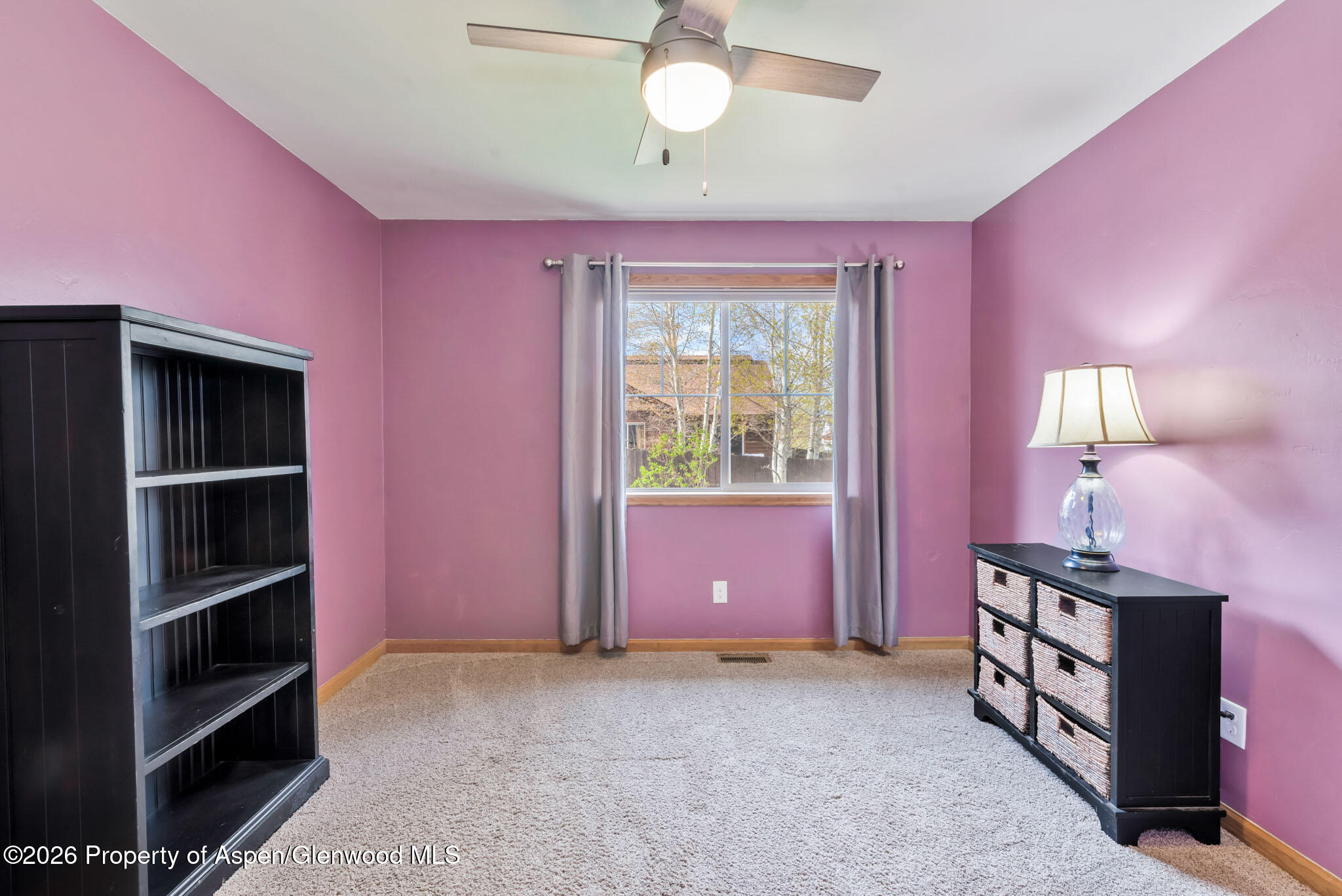 352 Lake View Road Hayden CO 81639