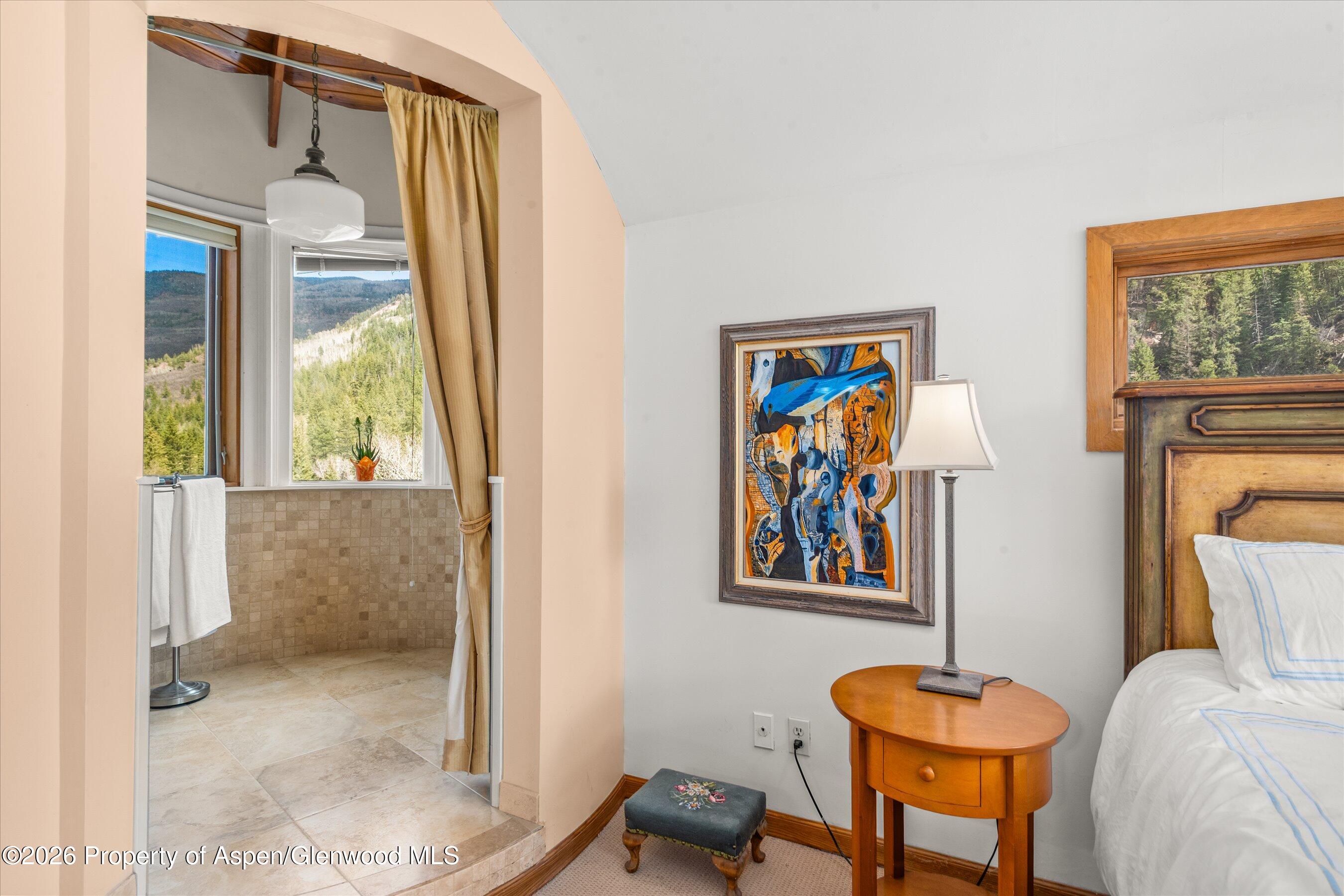 144 Crystal Park Drive Redstone CO 81623