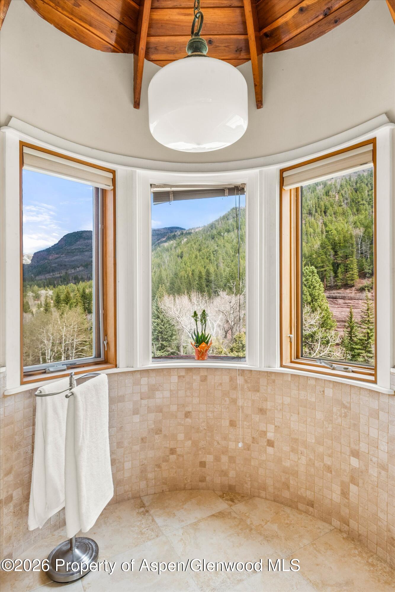 144 Crystal Park Drive Redstone CO 81623