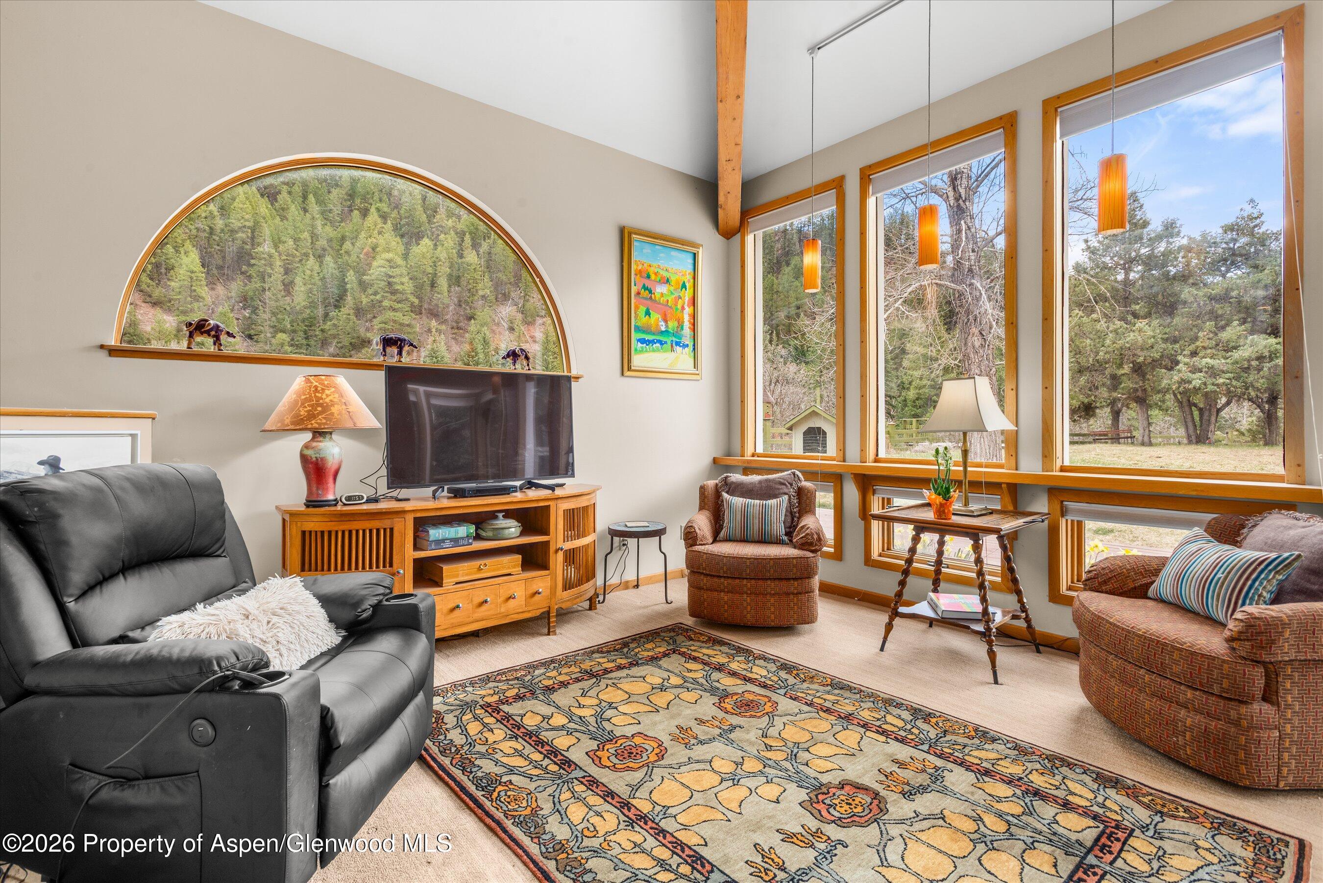 144 Crystal Park Drive Redstone CO 81623