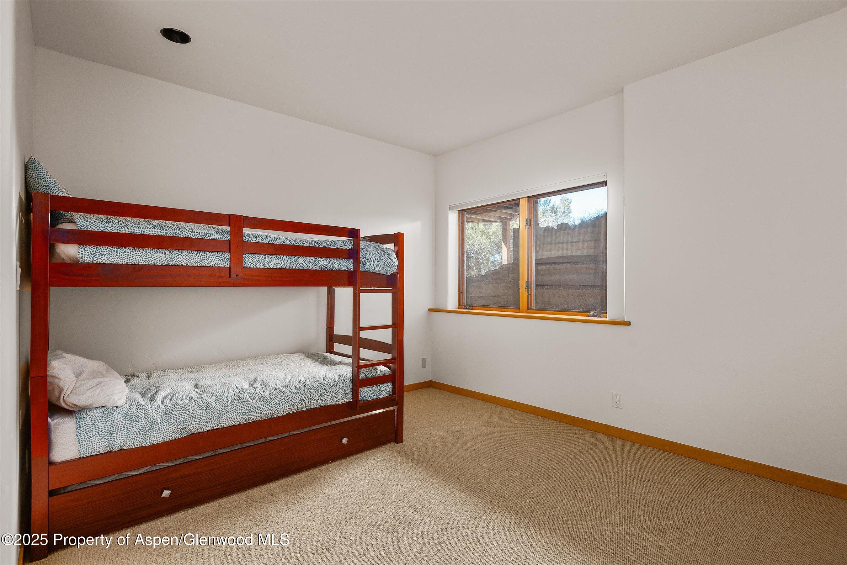 593 Wooden Deer Road Carbondale CO 81623