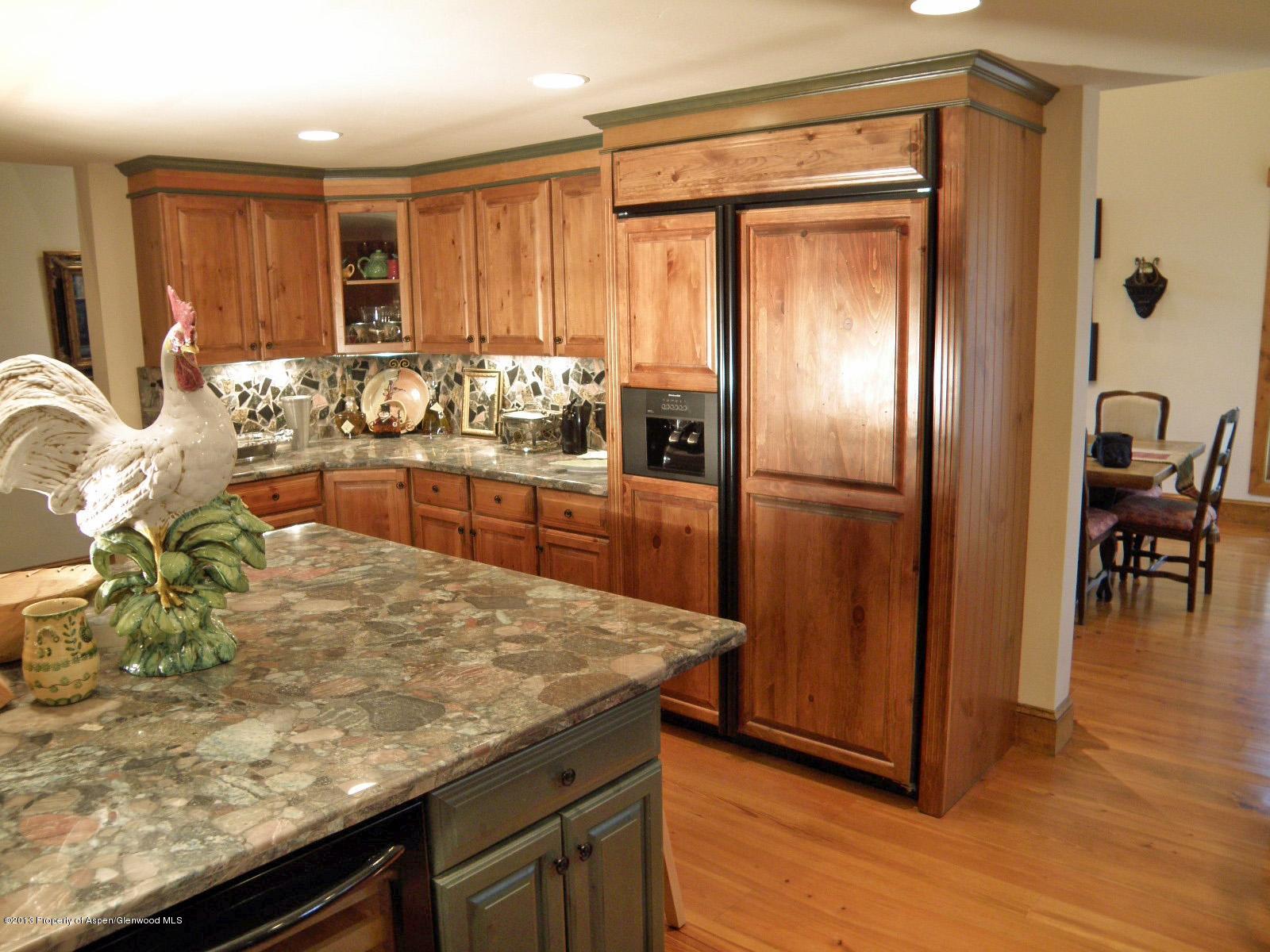 1951 Juniper Hill Drive Aspen CO 81611