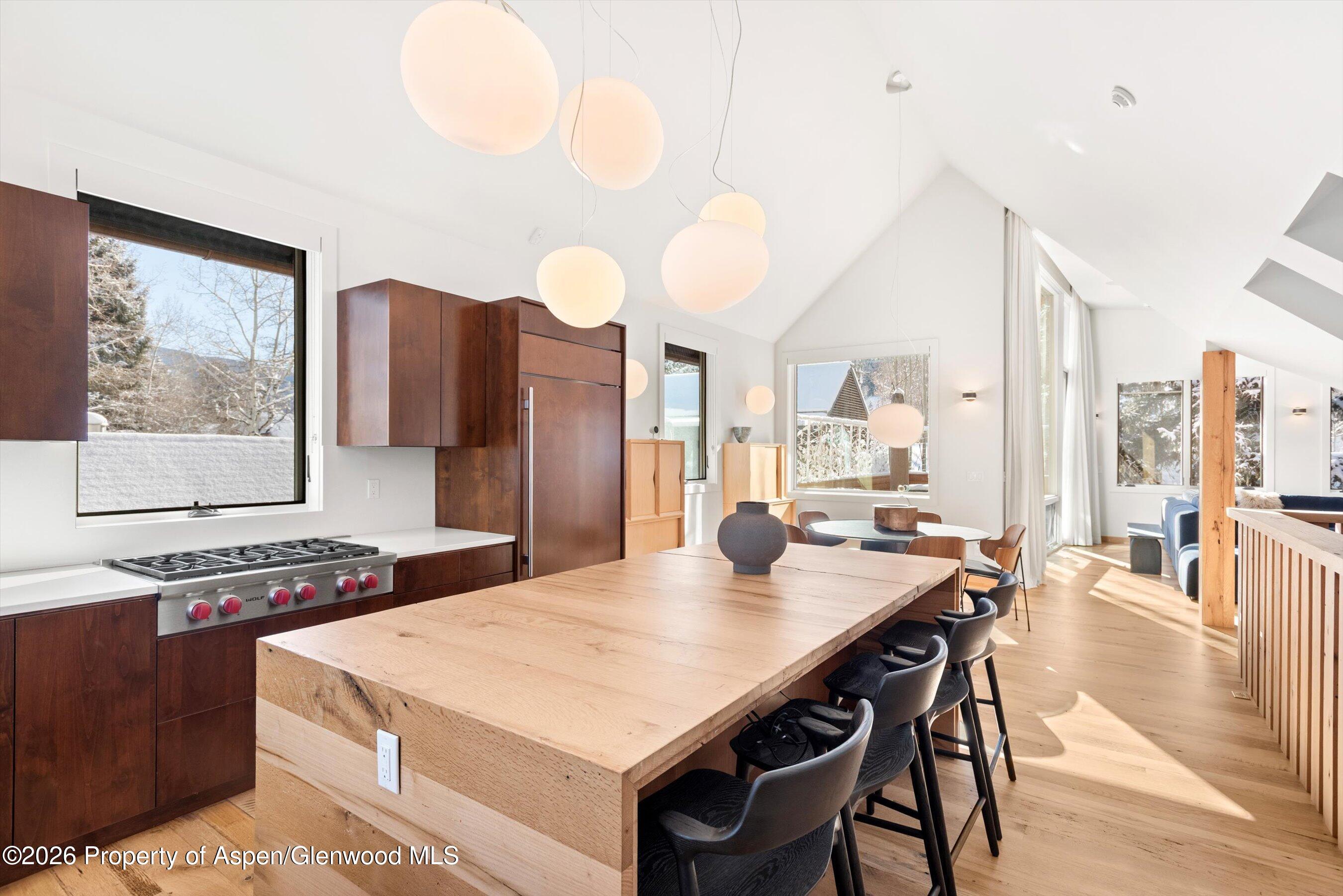 609 W Bleeker Street Aspen CO 81611