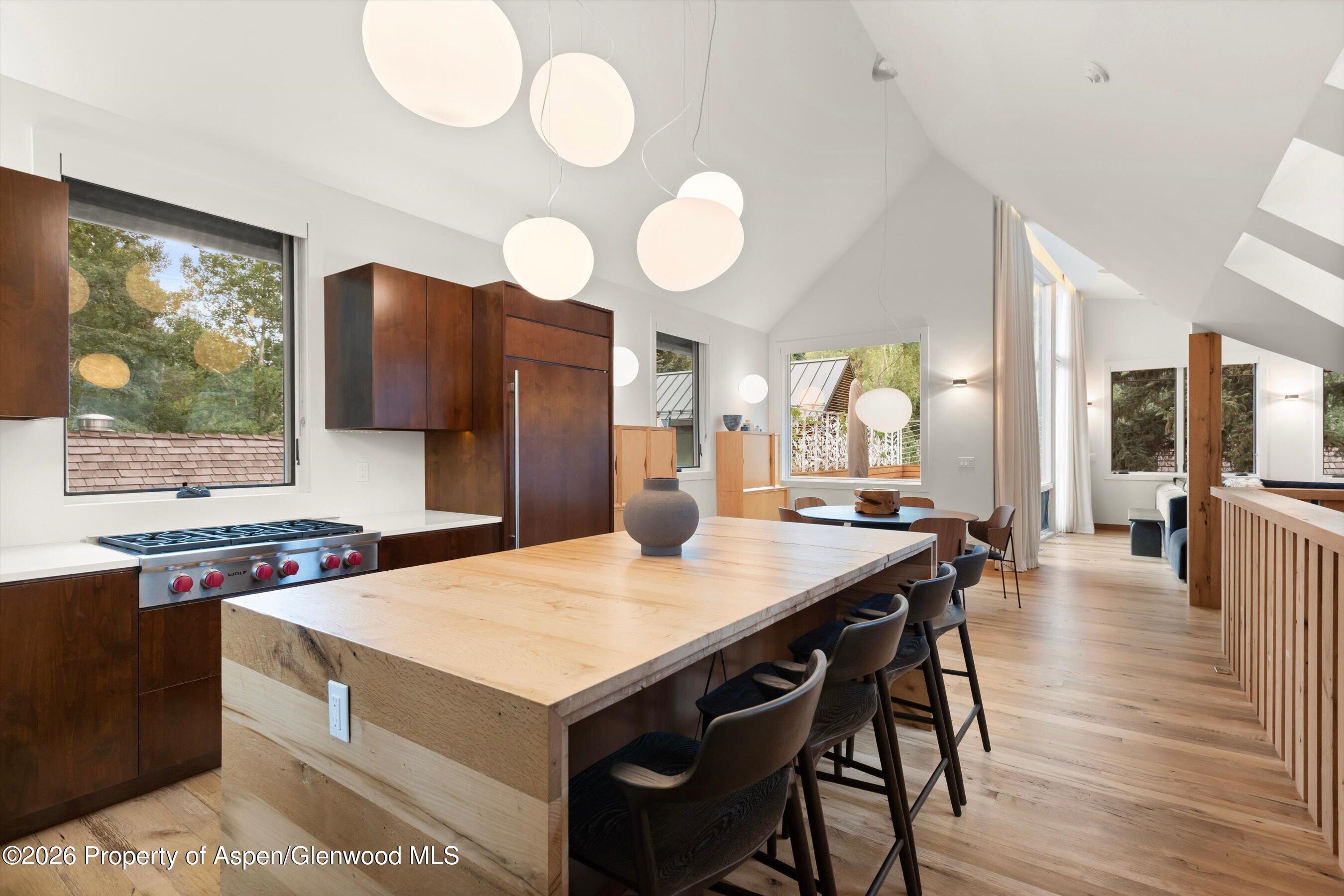 609 W Bleeker Street Aspen CO 81611