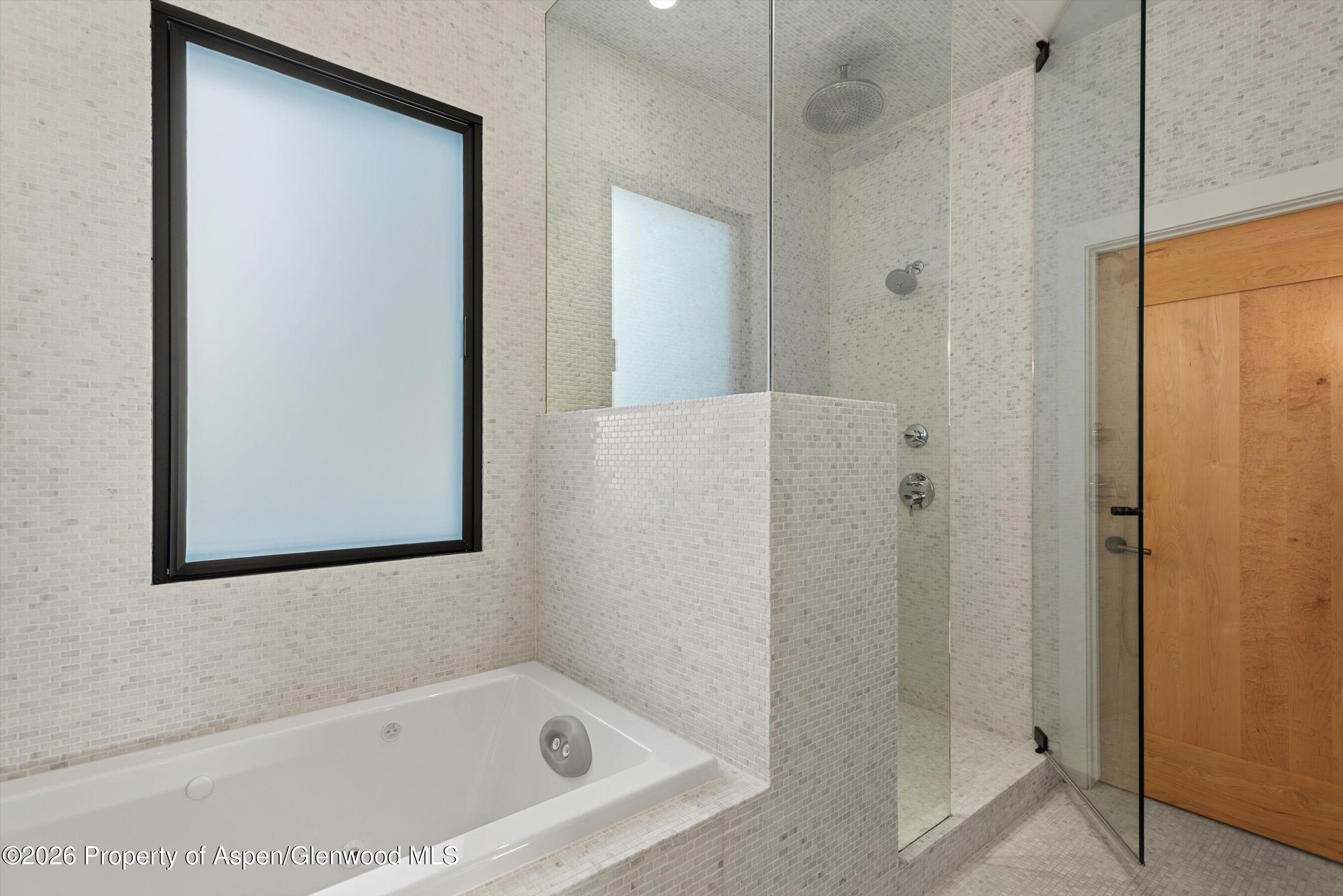 609 W Bleeker Street Aspen CO 81611