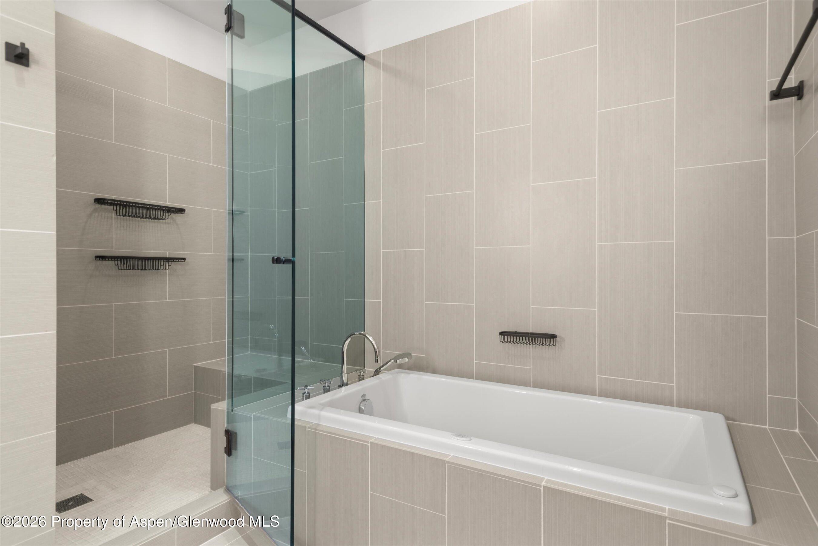 609 W Bleeker Street Aspen CO 81611