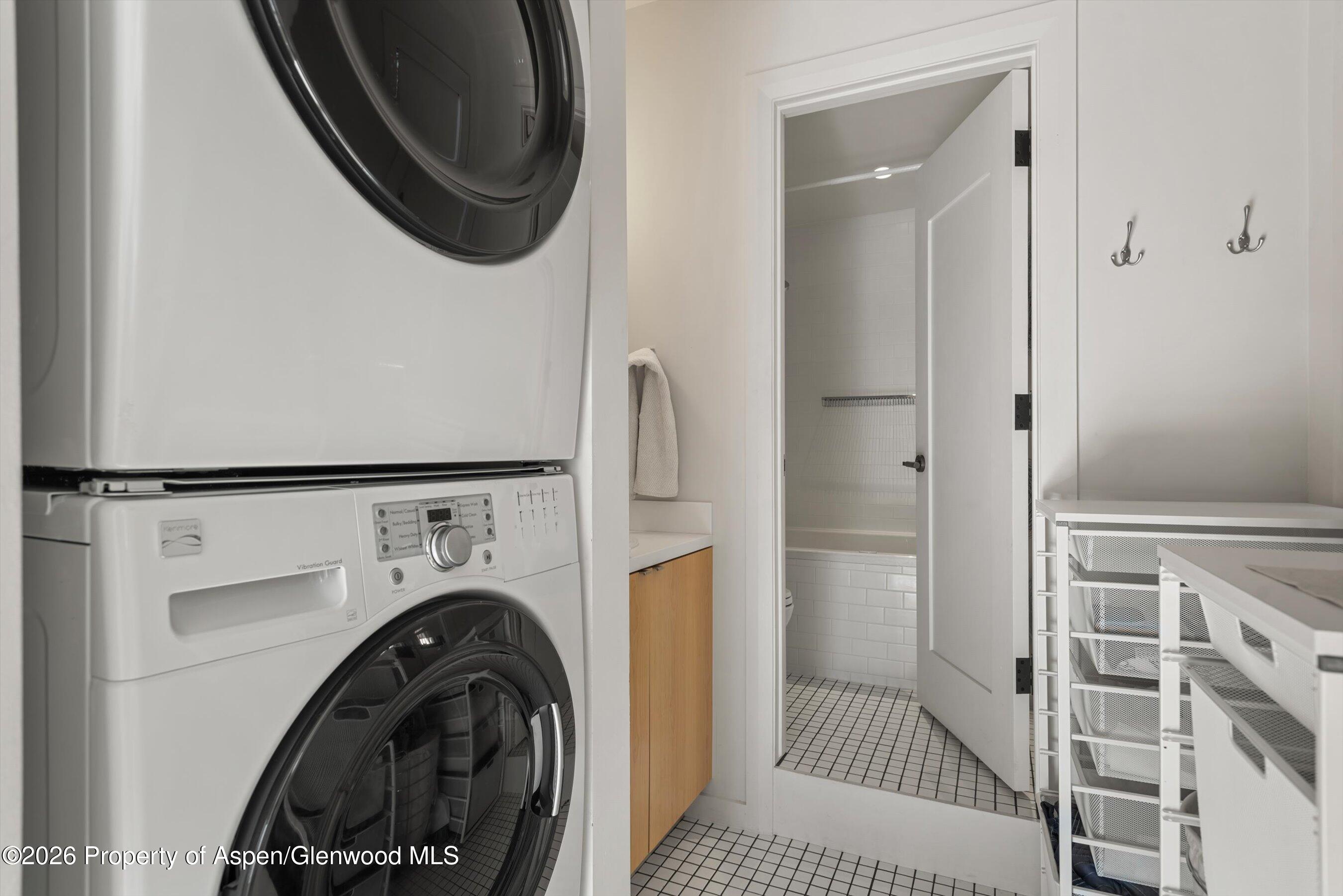 609 W Bleeker Street Aspen CO 81611