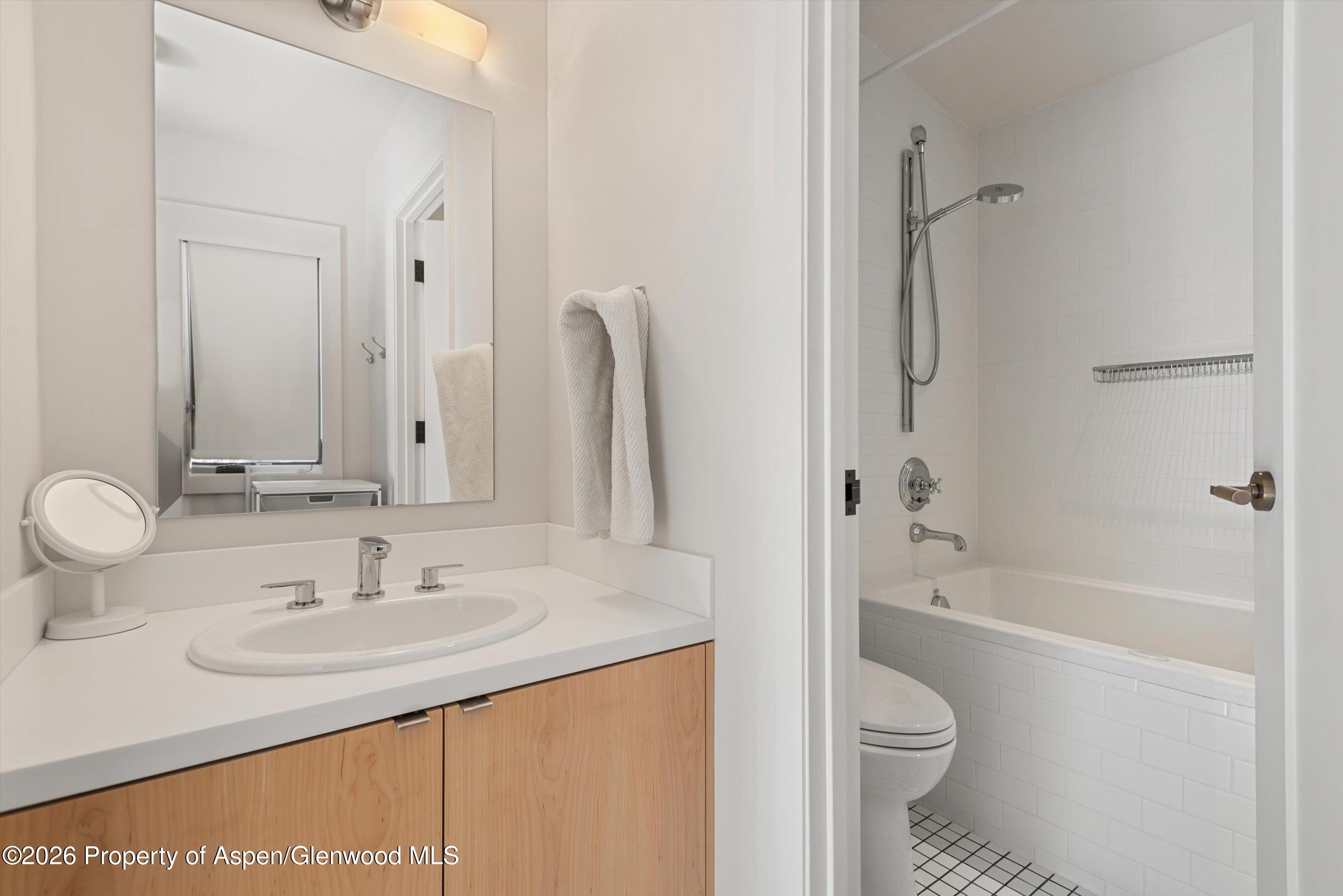 609 W Bleeker Street Aspen CO 81611