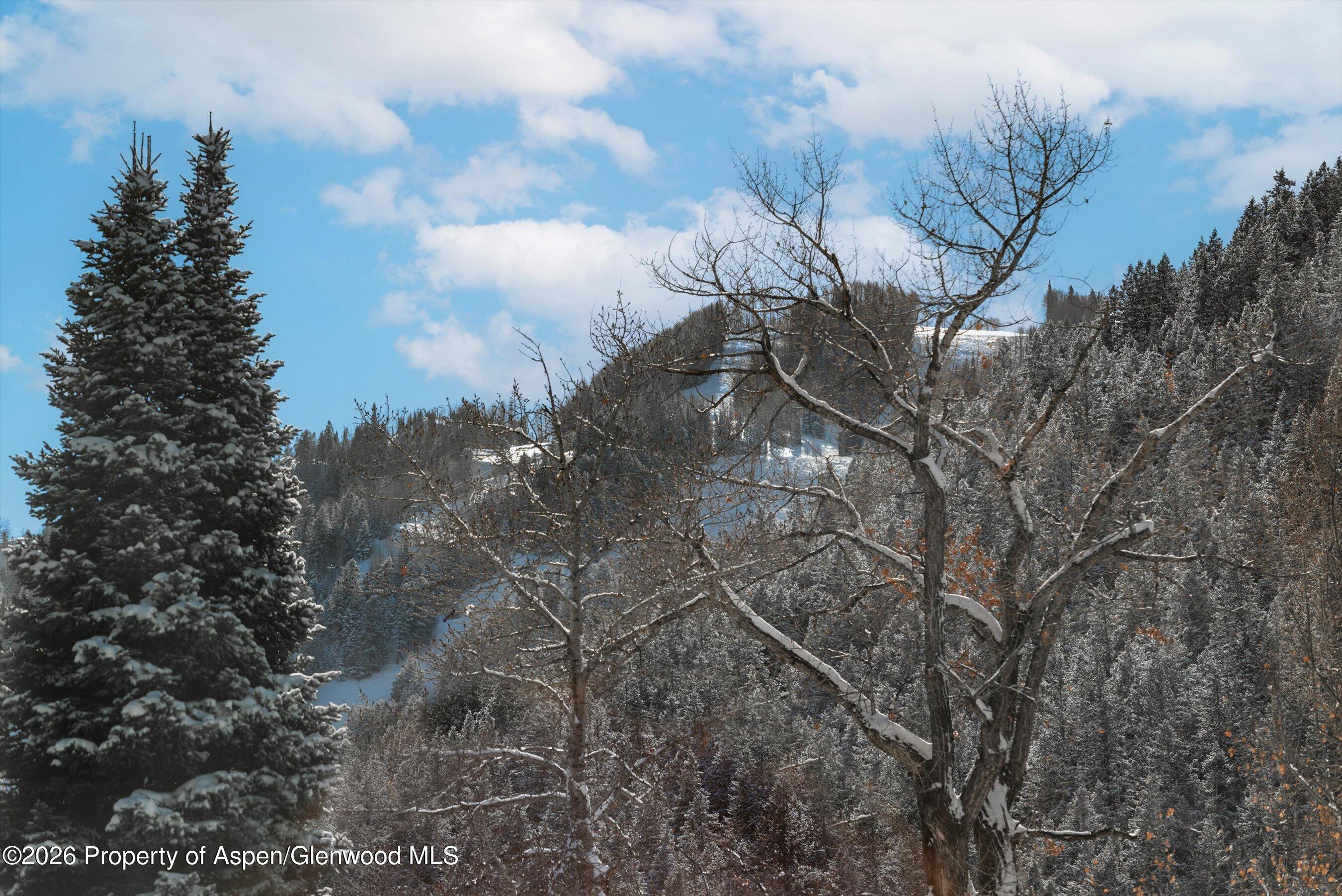 609 W Bleeker Street Aspen CO 81611