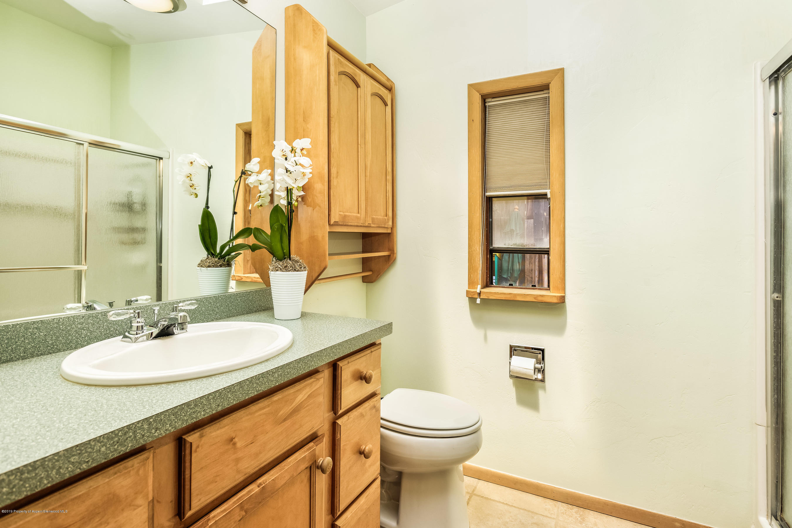 213 Cottonwood Lane Aspen CO 81611