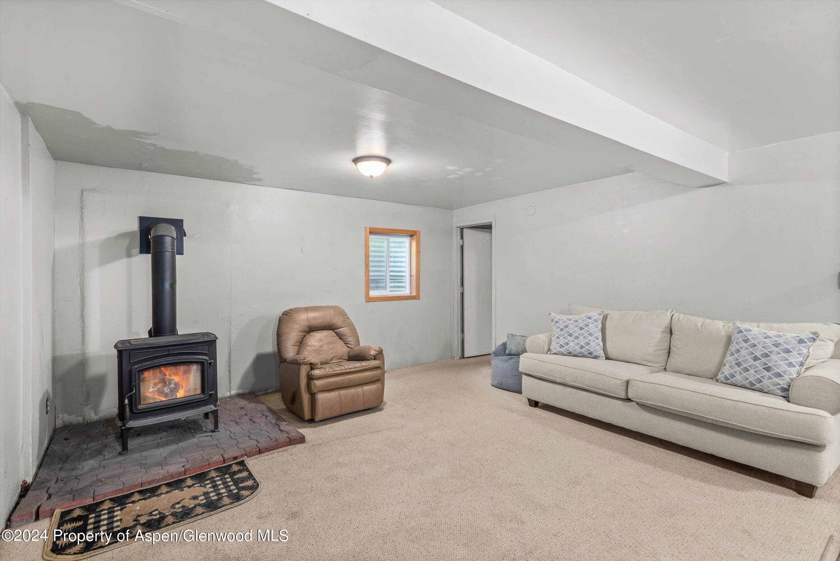71 Aspen Street Carbondale CO 81623