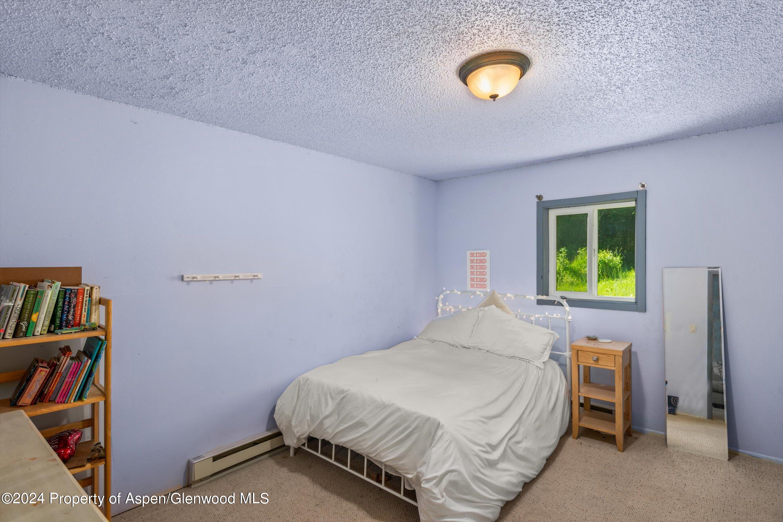 71 Aspen Street Carbondale CO 81623