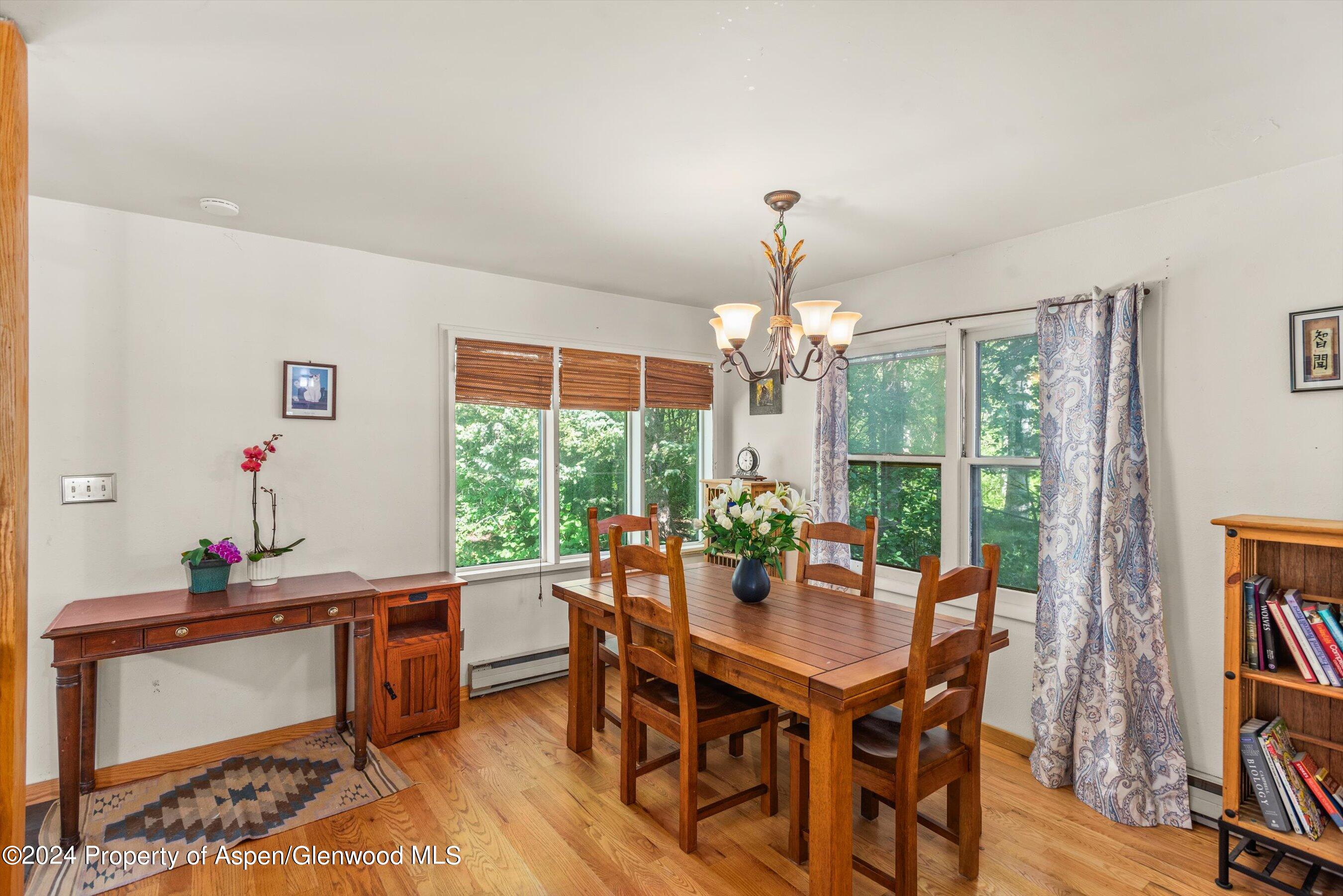 71 Aspen Street Carbondale CO 81623