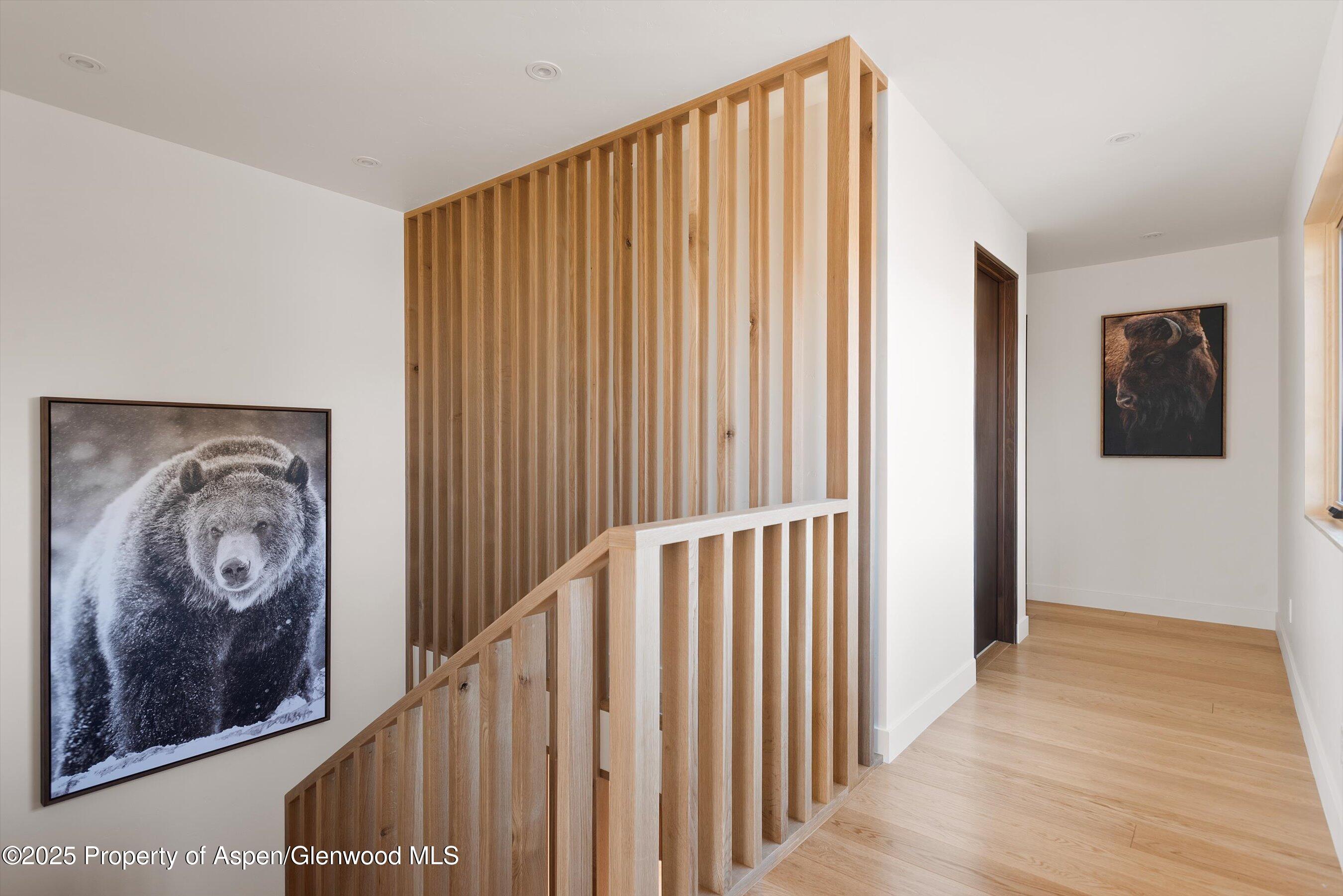 120 Turtle Cove Aspen CO 81611