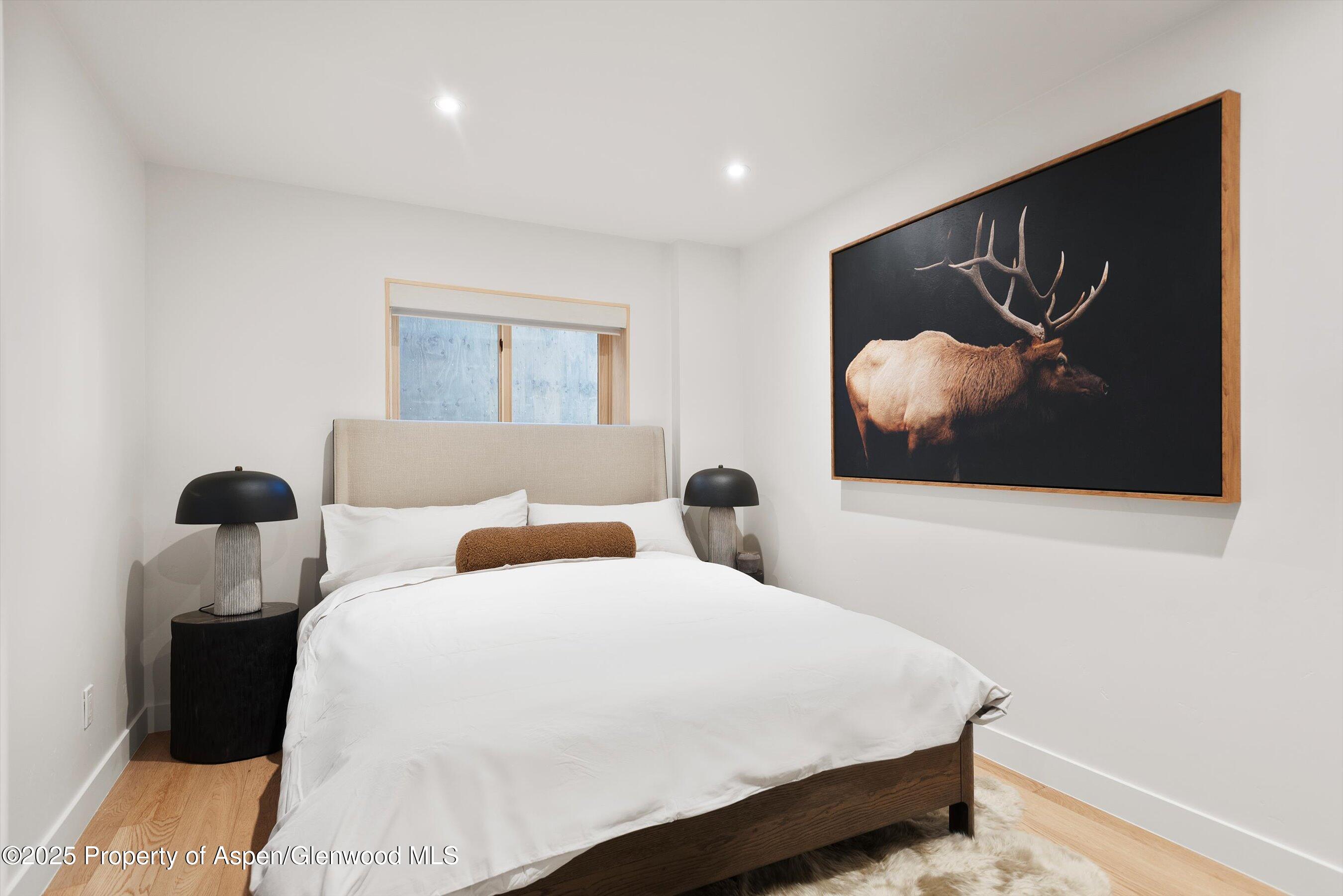 120 Turtle Cove Aspen CO 81611