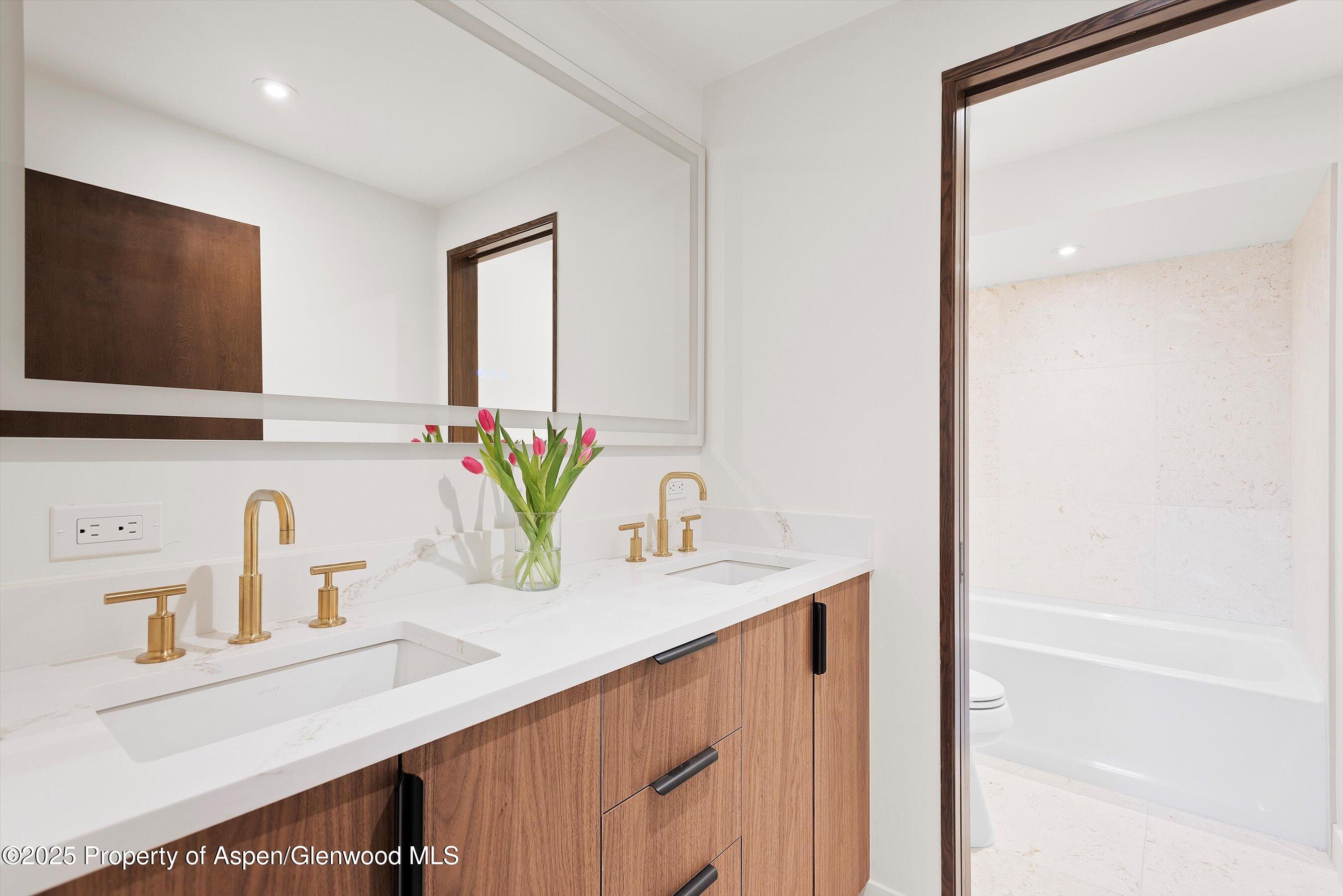 120 Turtle Cove Aspen CO 81611