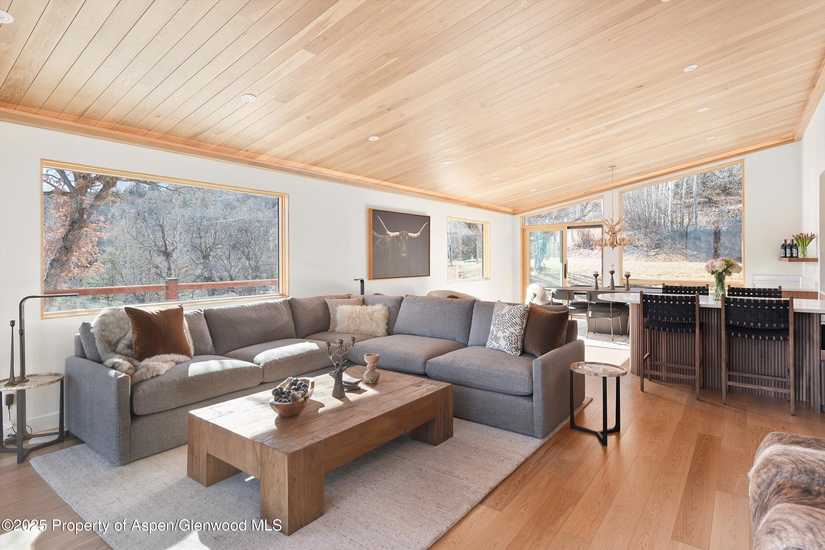 120 Turtle Cove Aspen CO 81611