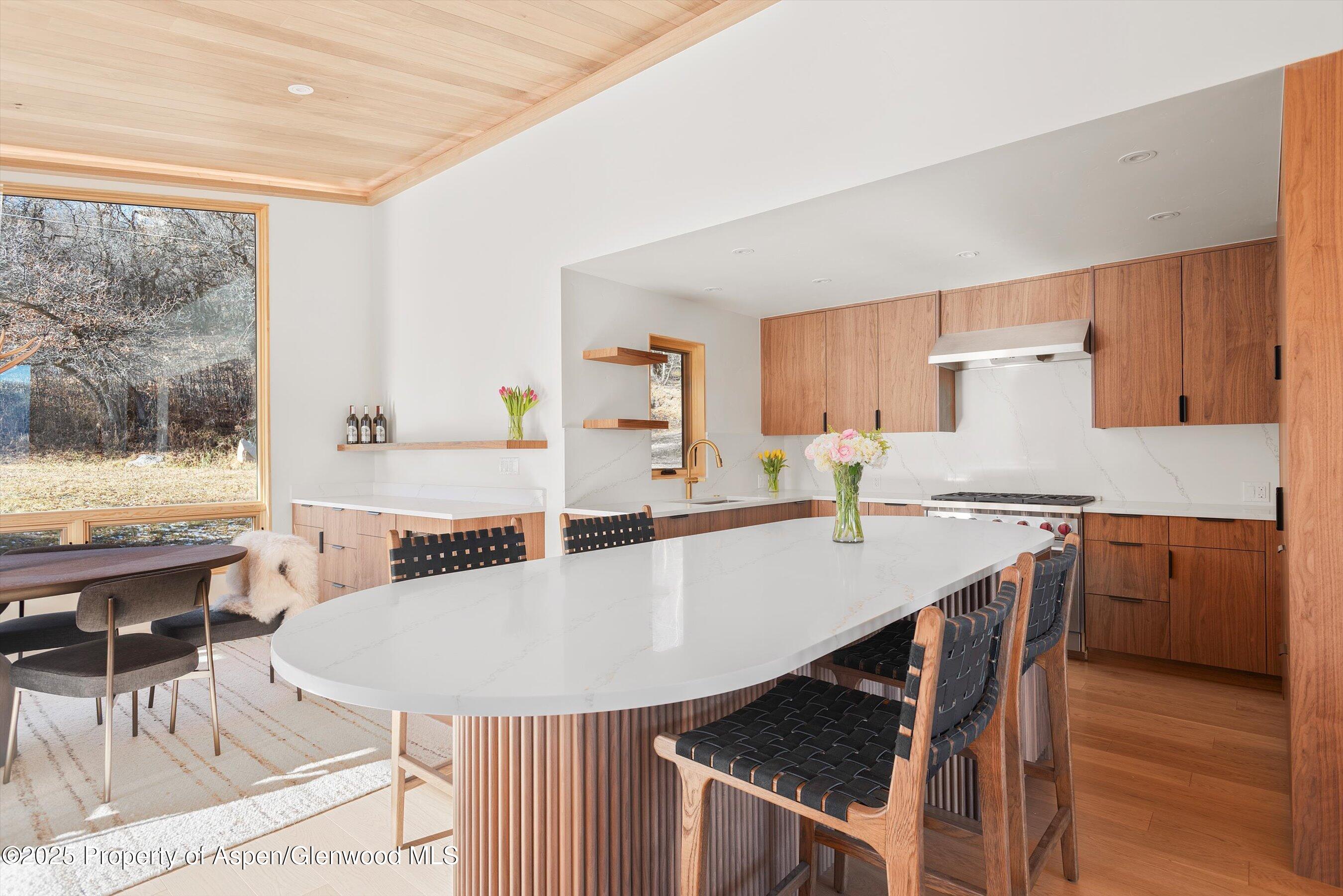 120 Turtle Cove Aspen CO 81611