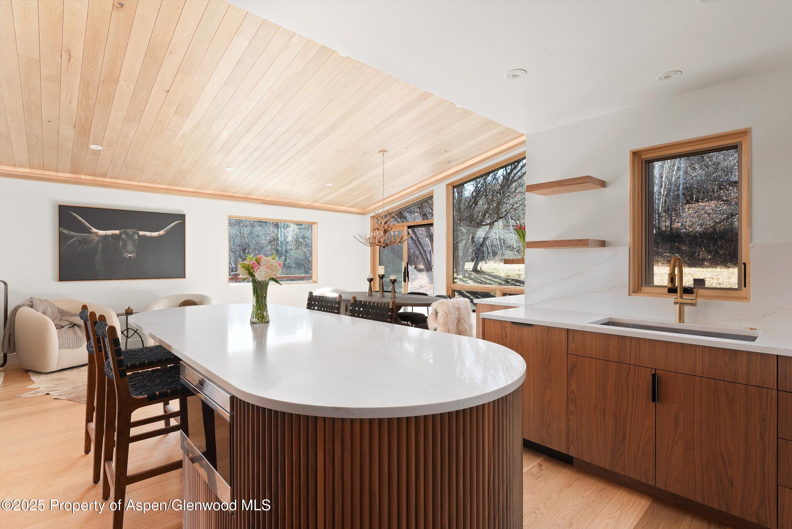 120 Turtle Cove Aspen CO 81611