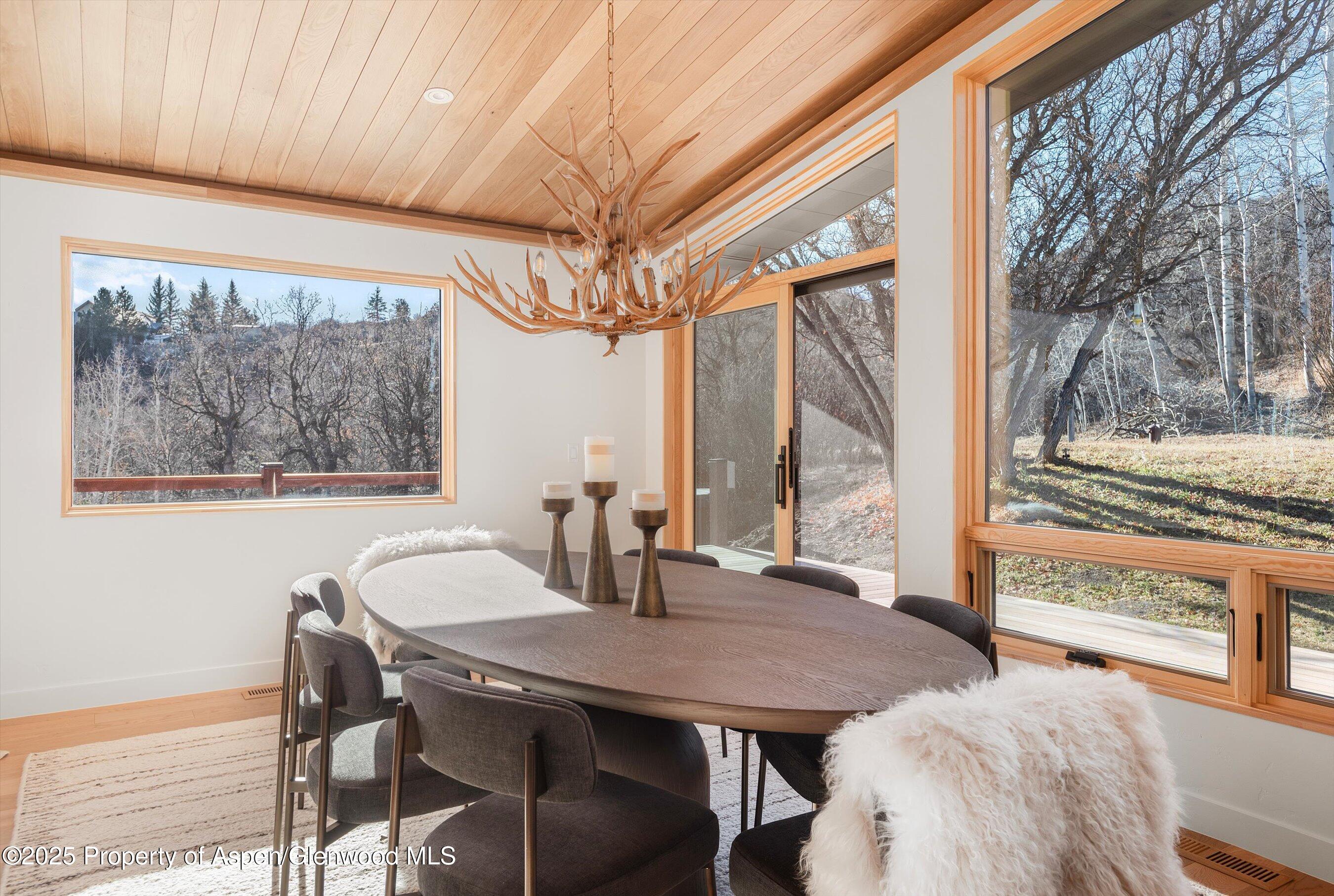 120 Turtle Cove Aspen CO 81611