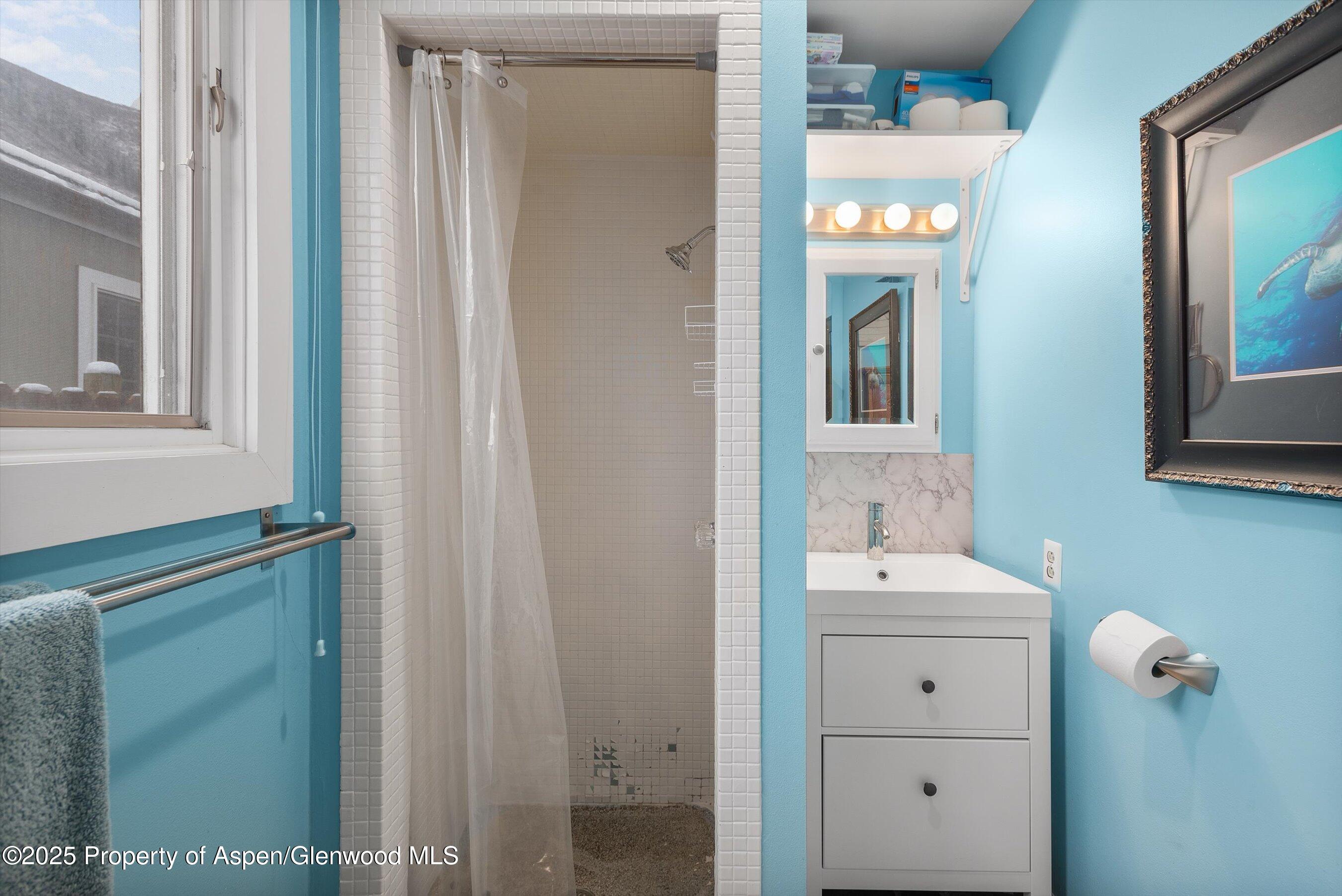 73 Lazy Glen Snowmass CO 81654