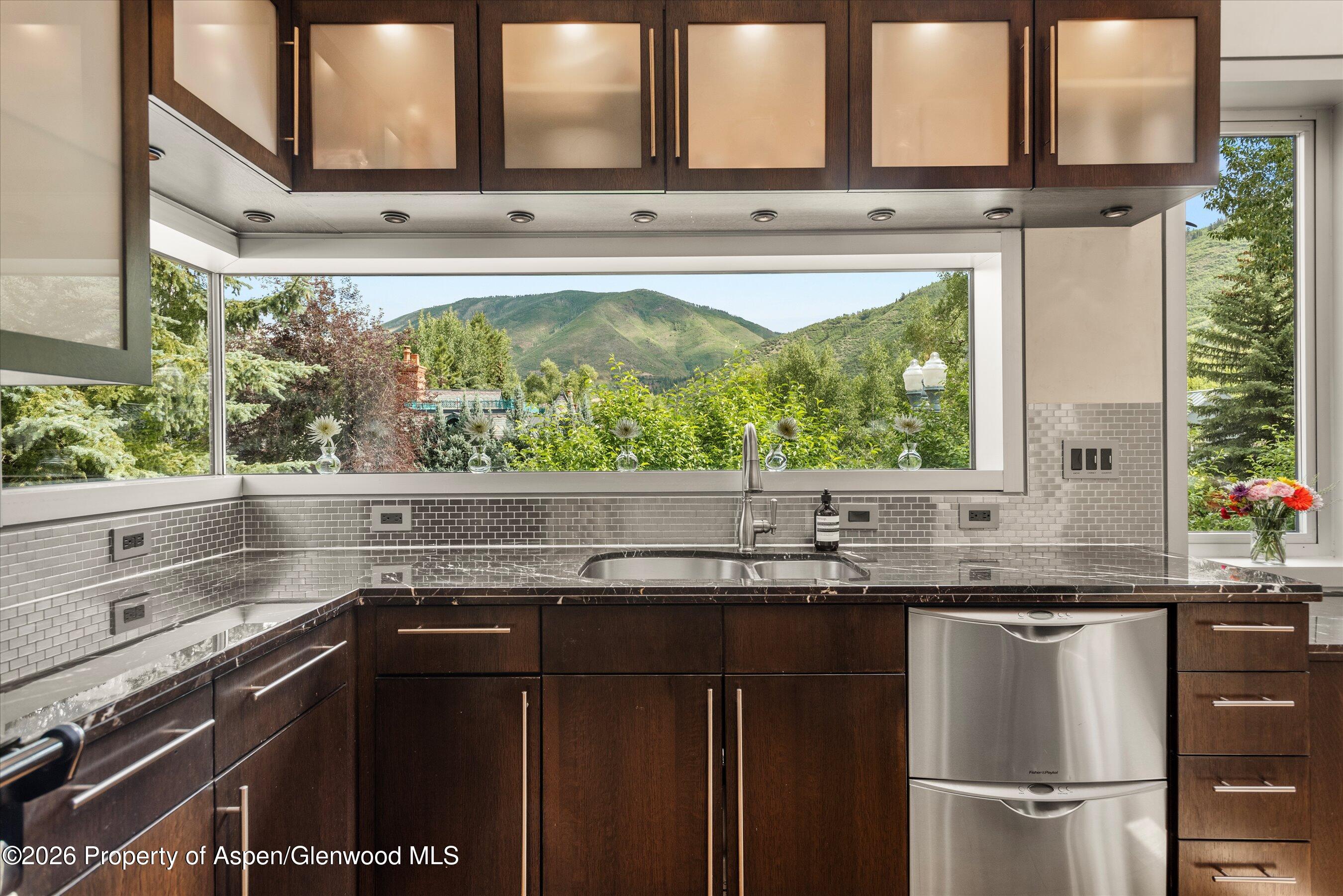 939 E Cooper Avenue Aspen CO 81611