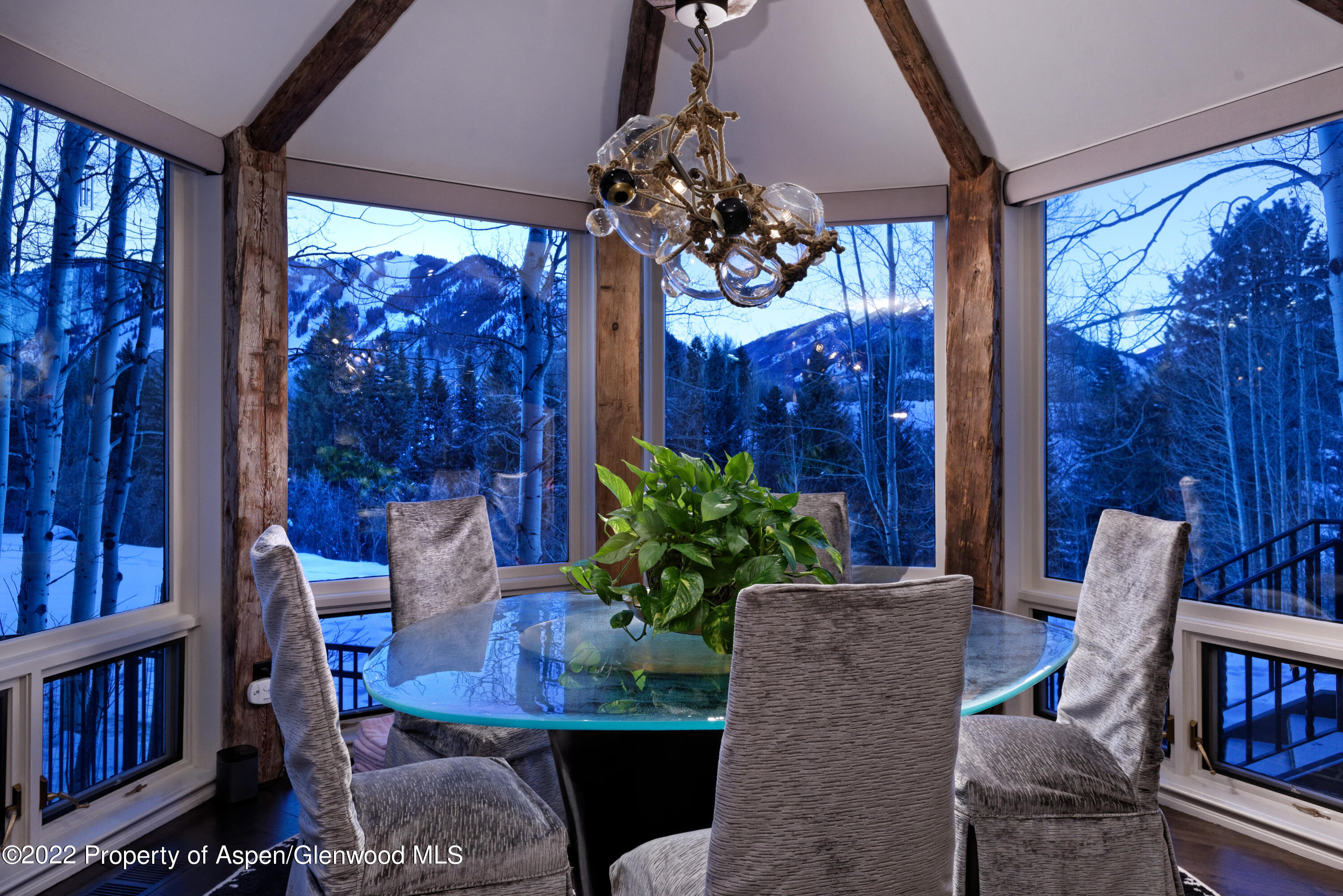 44 Pitkin Way Aspen CO 81611