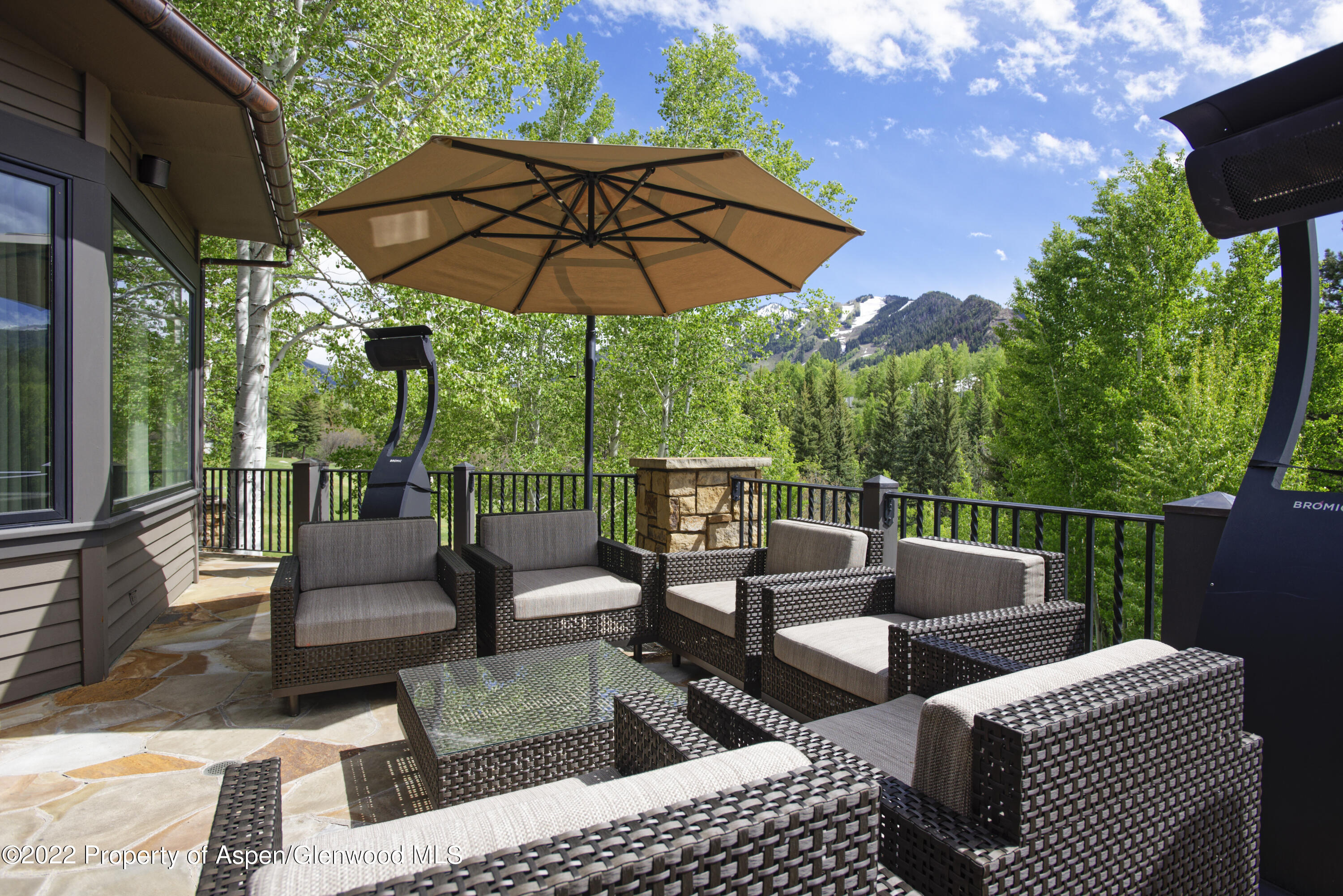 44 Pitkin Way Aspen CO 81611