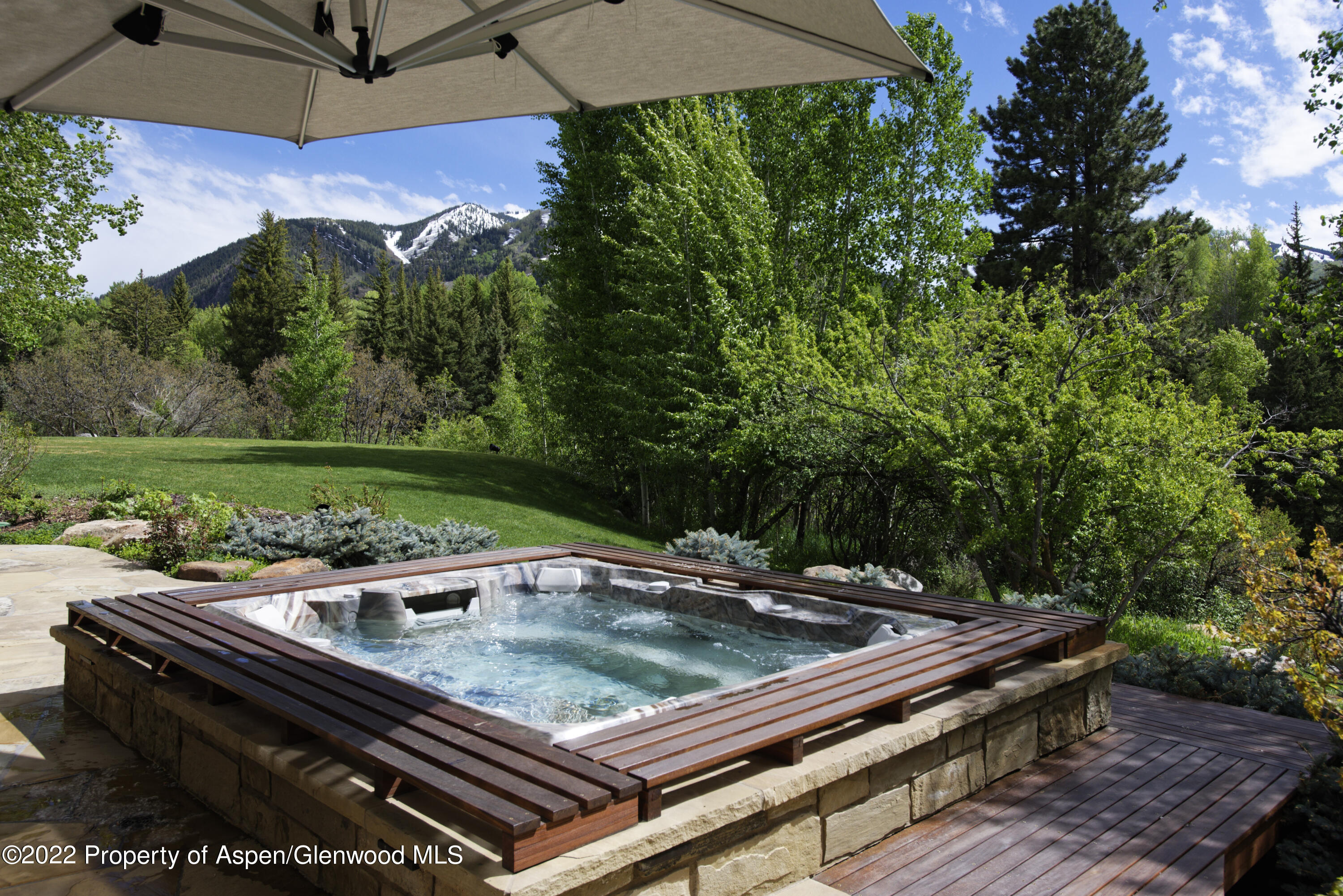 44 Pitkin Way Aspen CO 81611