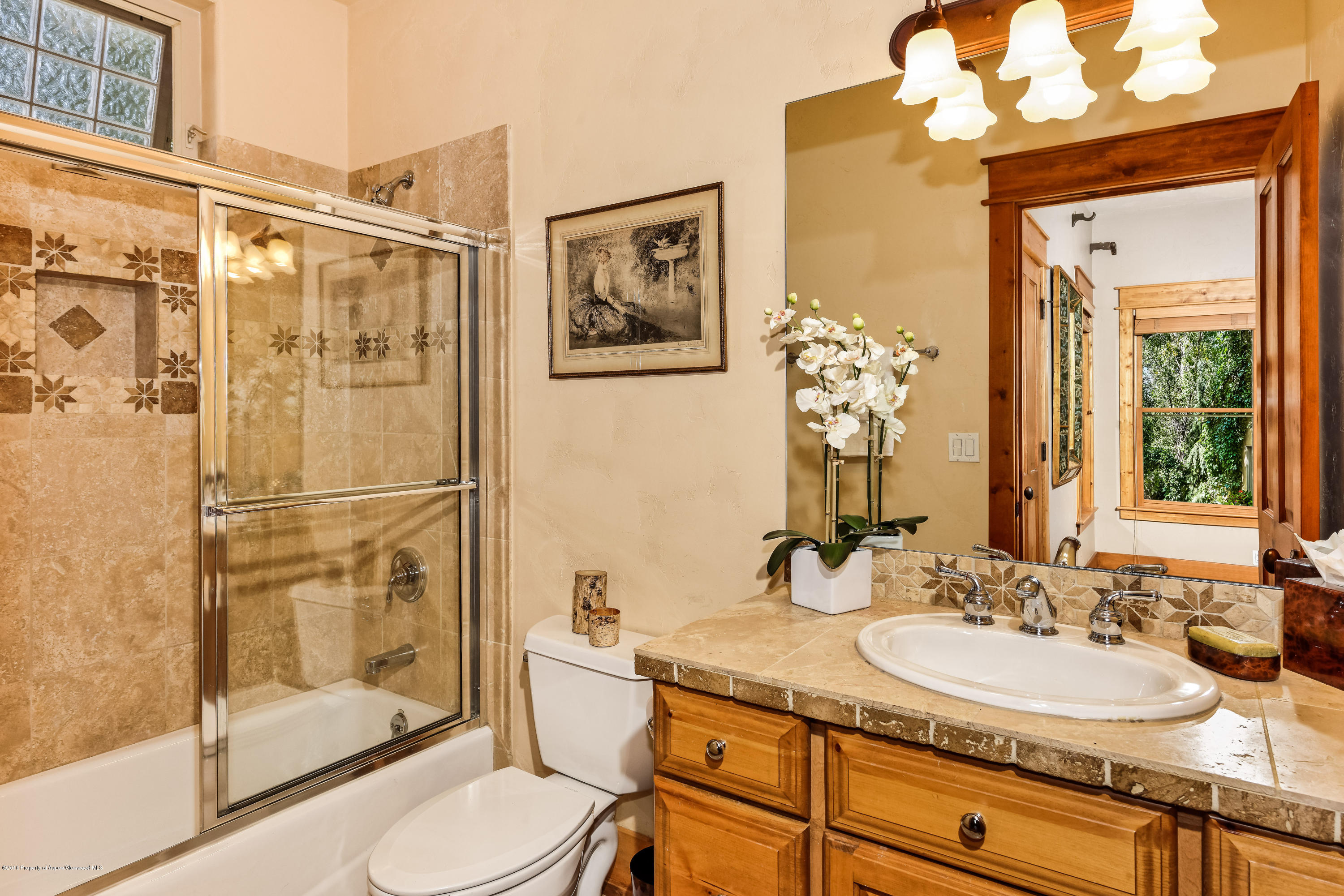 715 Hearthstone Drive Basalt CO 81621