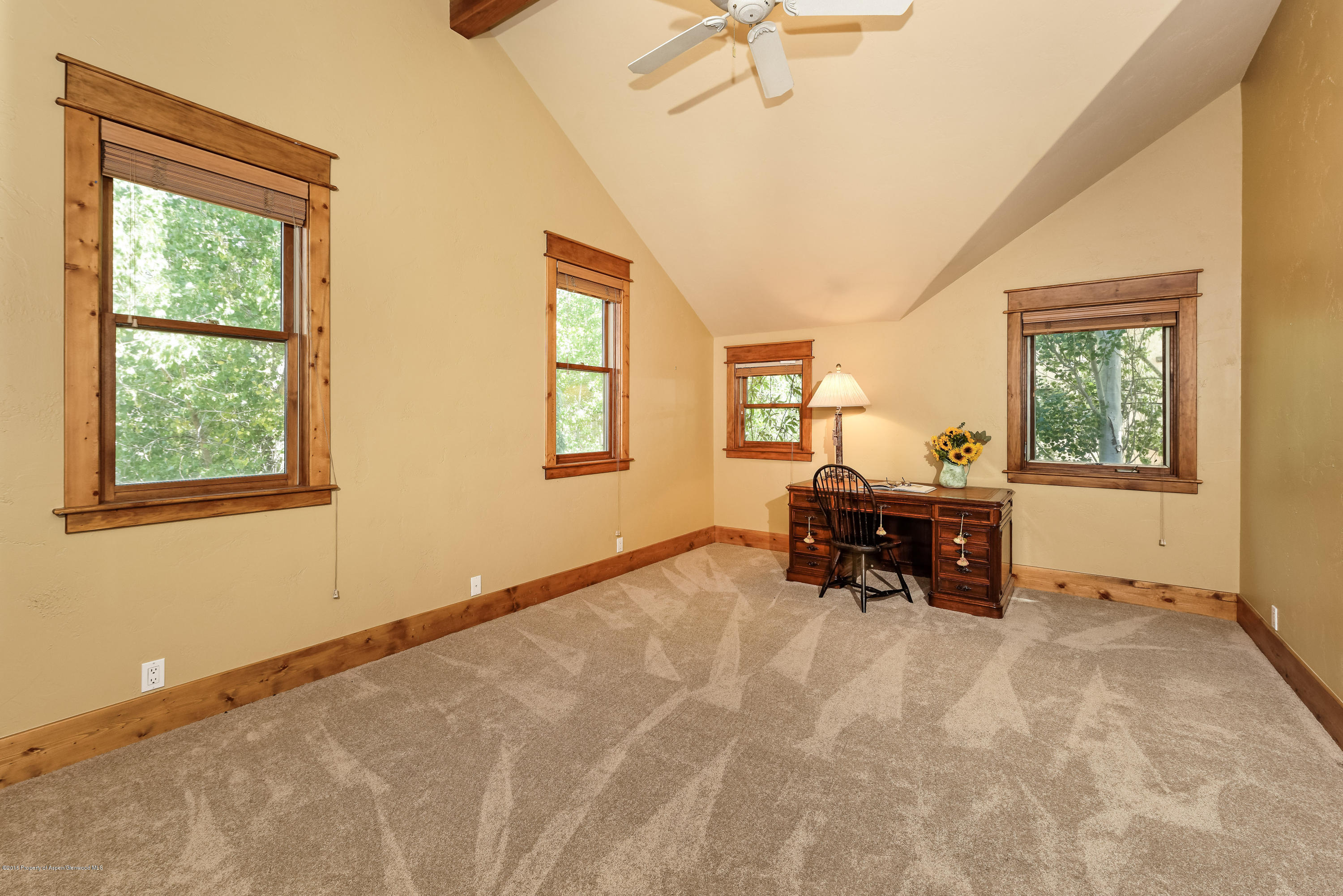 715 Hearthstone Drive Basalt CO 81621