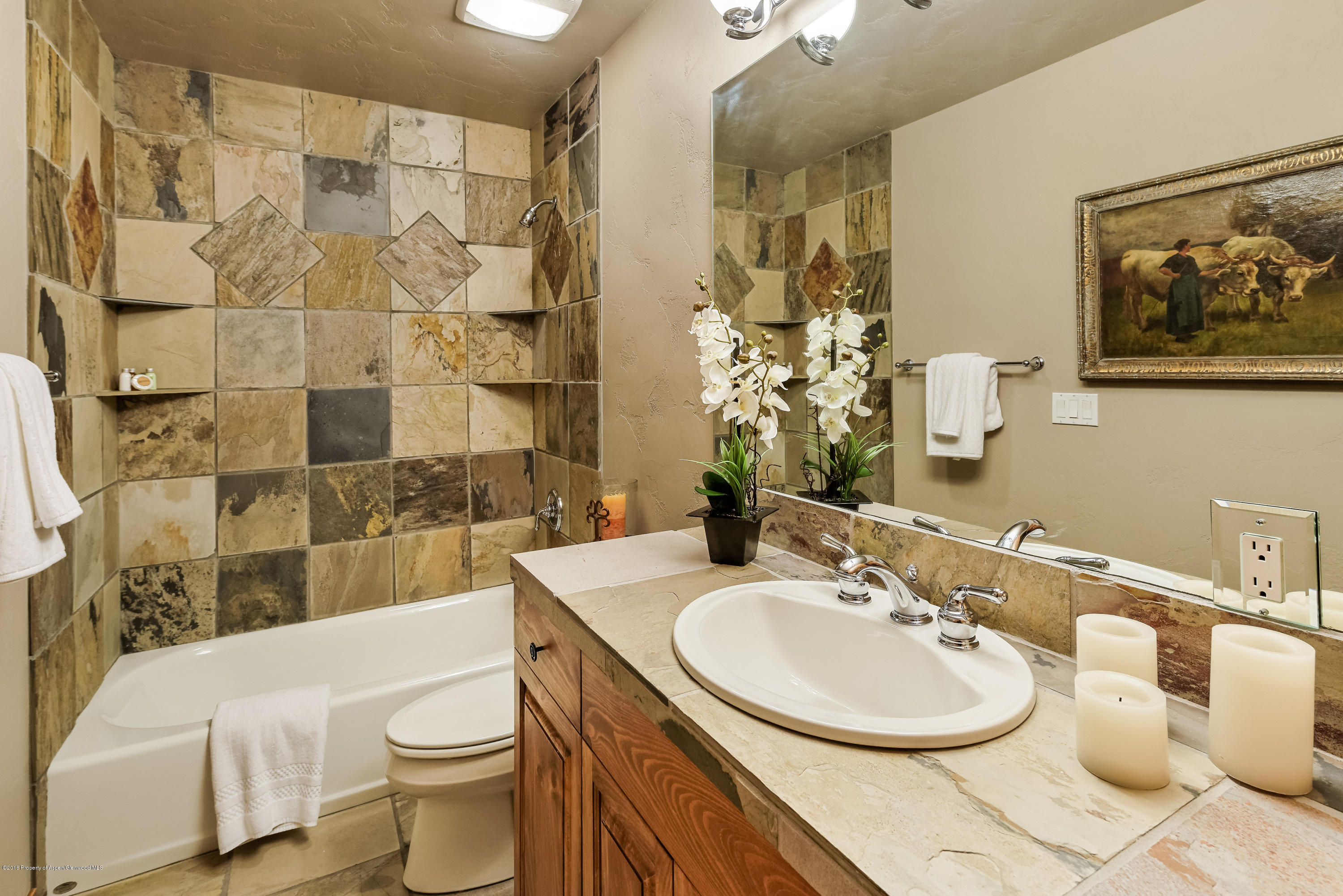 715 Hearthstone Drive Basalt CO 81621