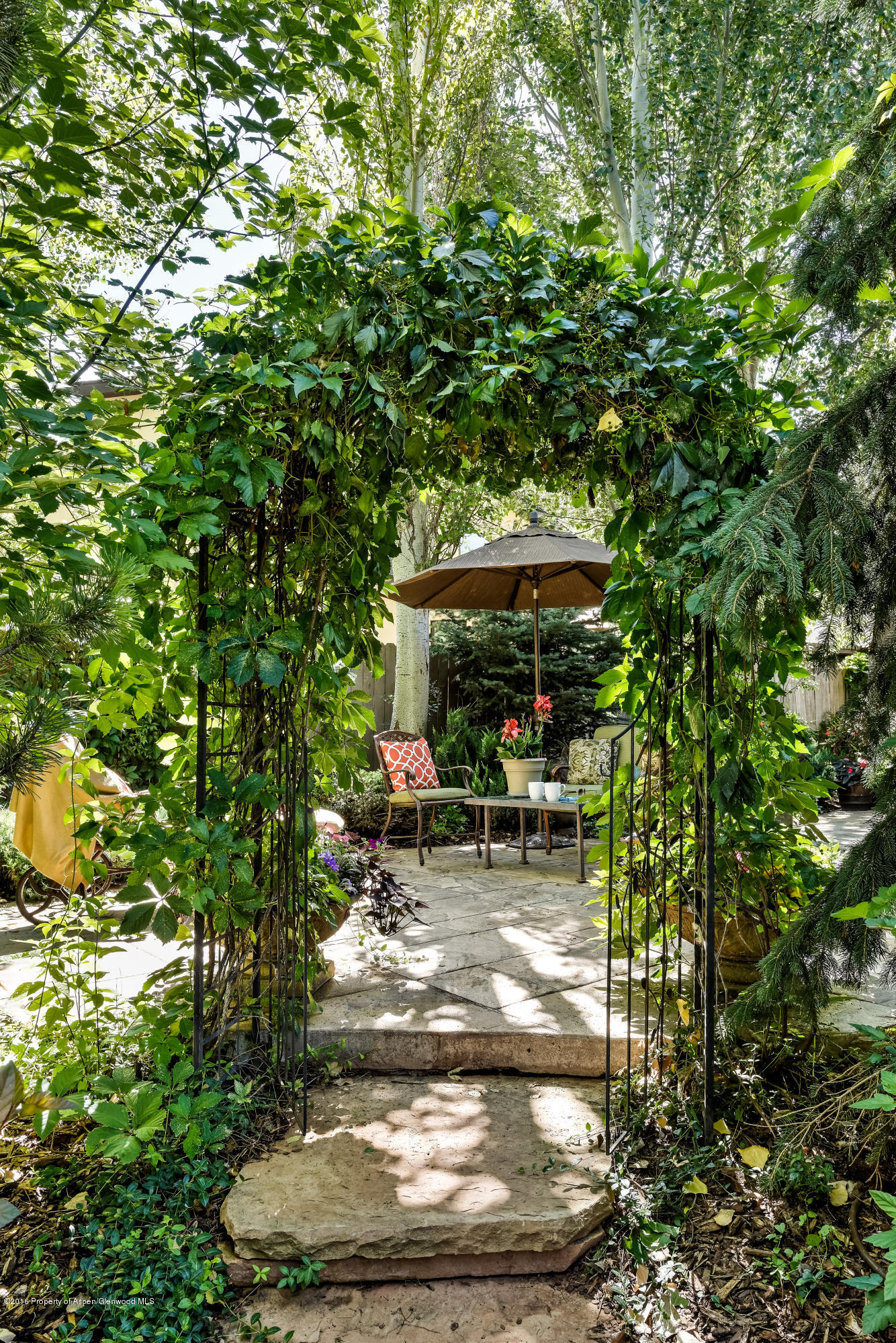 715 Hearthstone Drive Basalt CO 81621