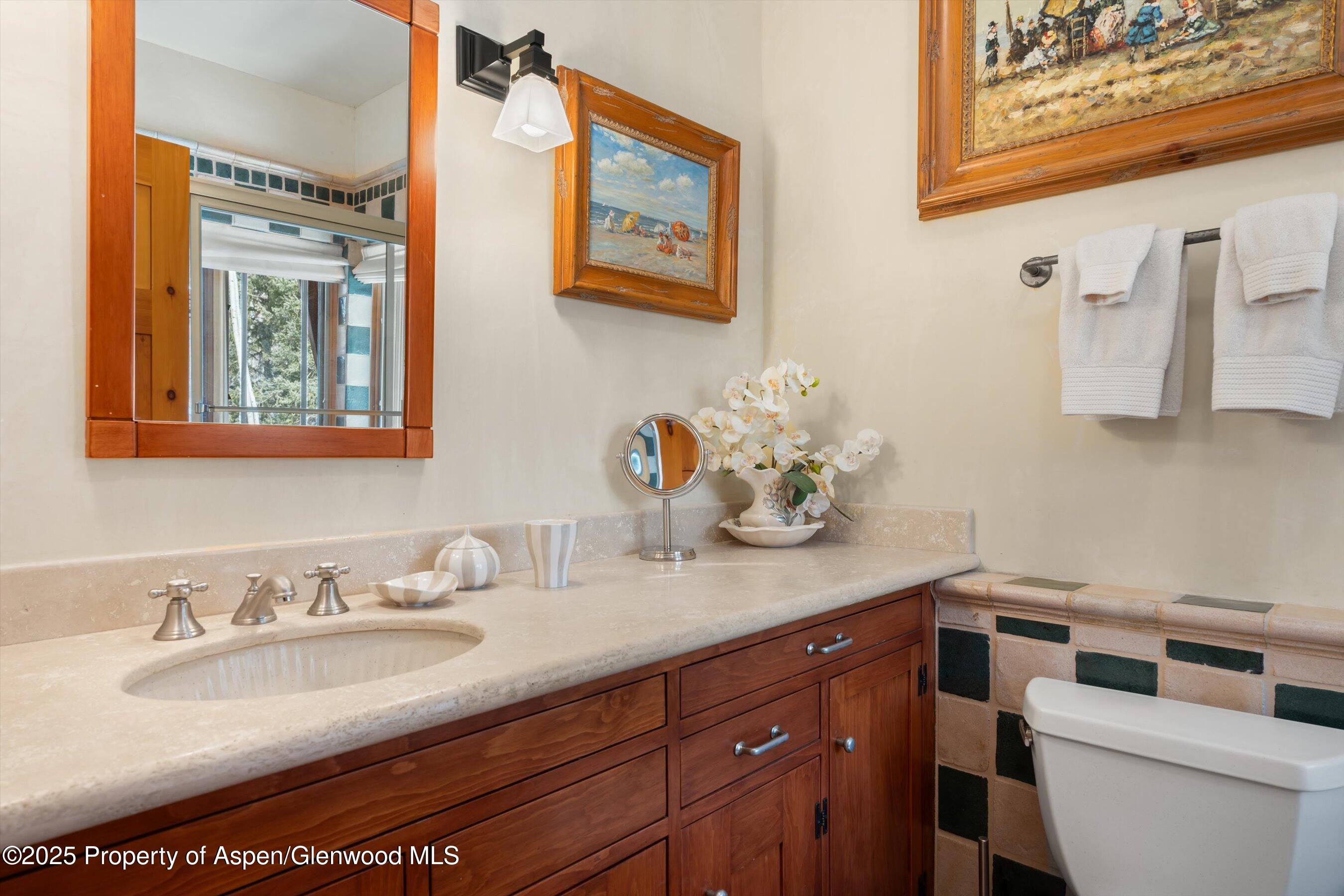 195 N Hayden Road Aspen CO 81611