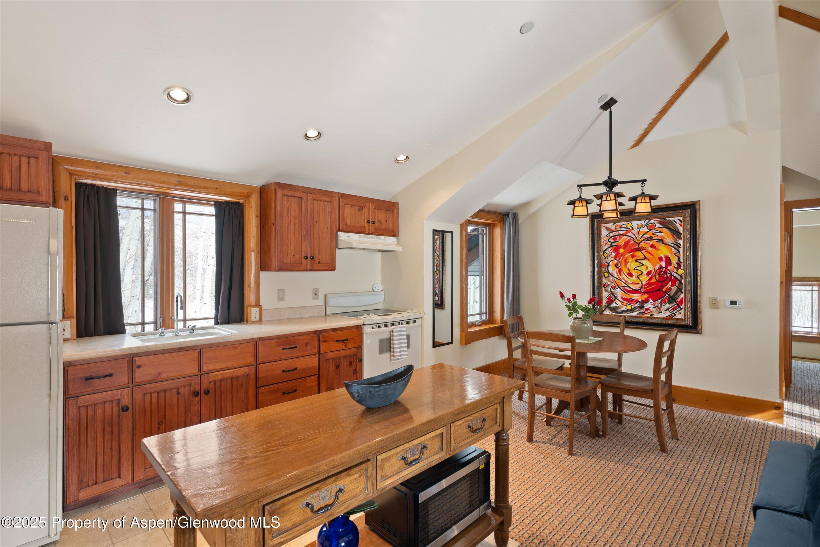 195 N Hayden Road Aspen CO 81611