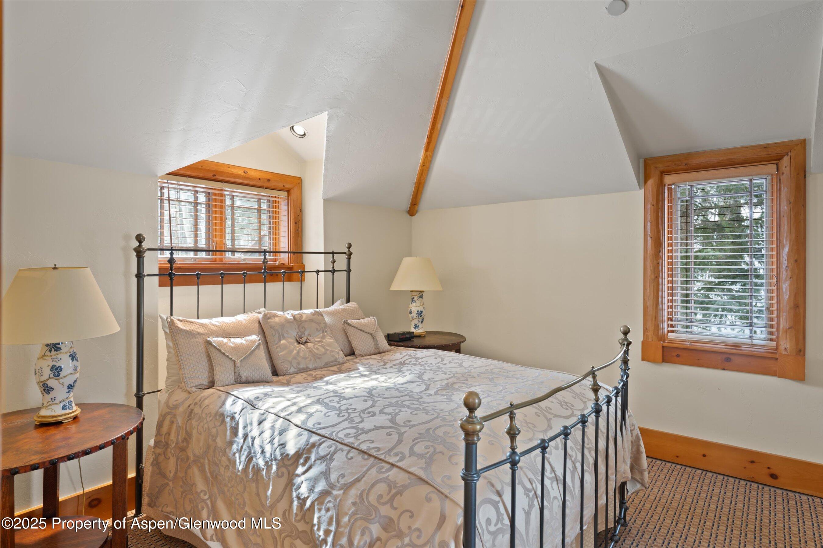 195 N Hayden Road Aspen CO 81611