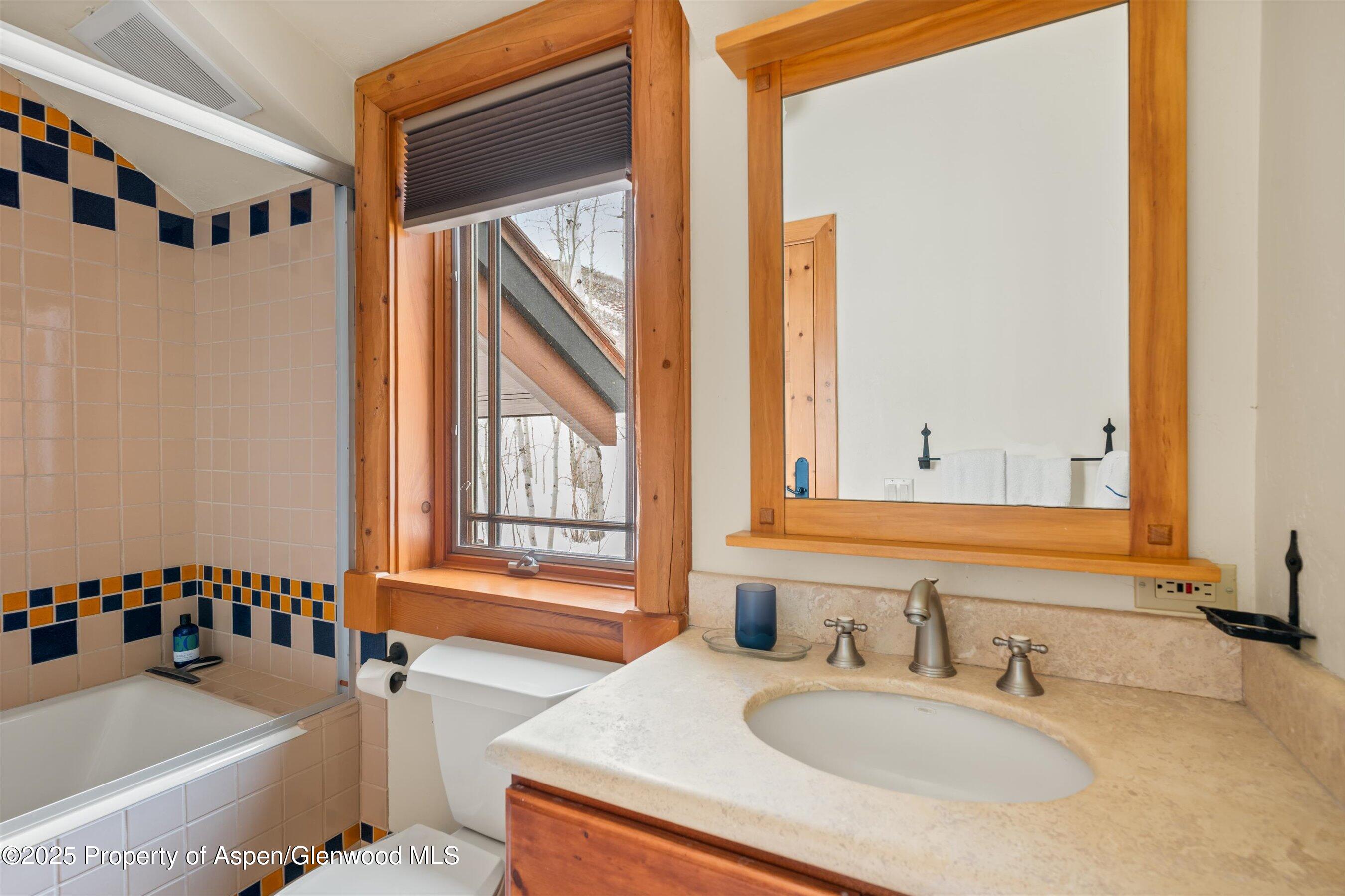 195 N Hayden Road Aspen CO 81611