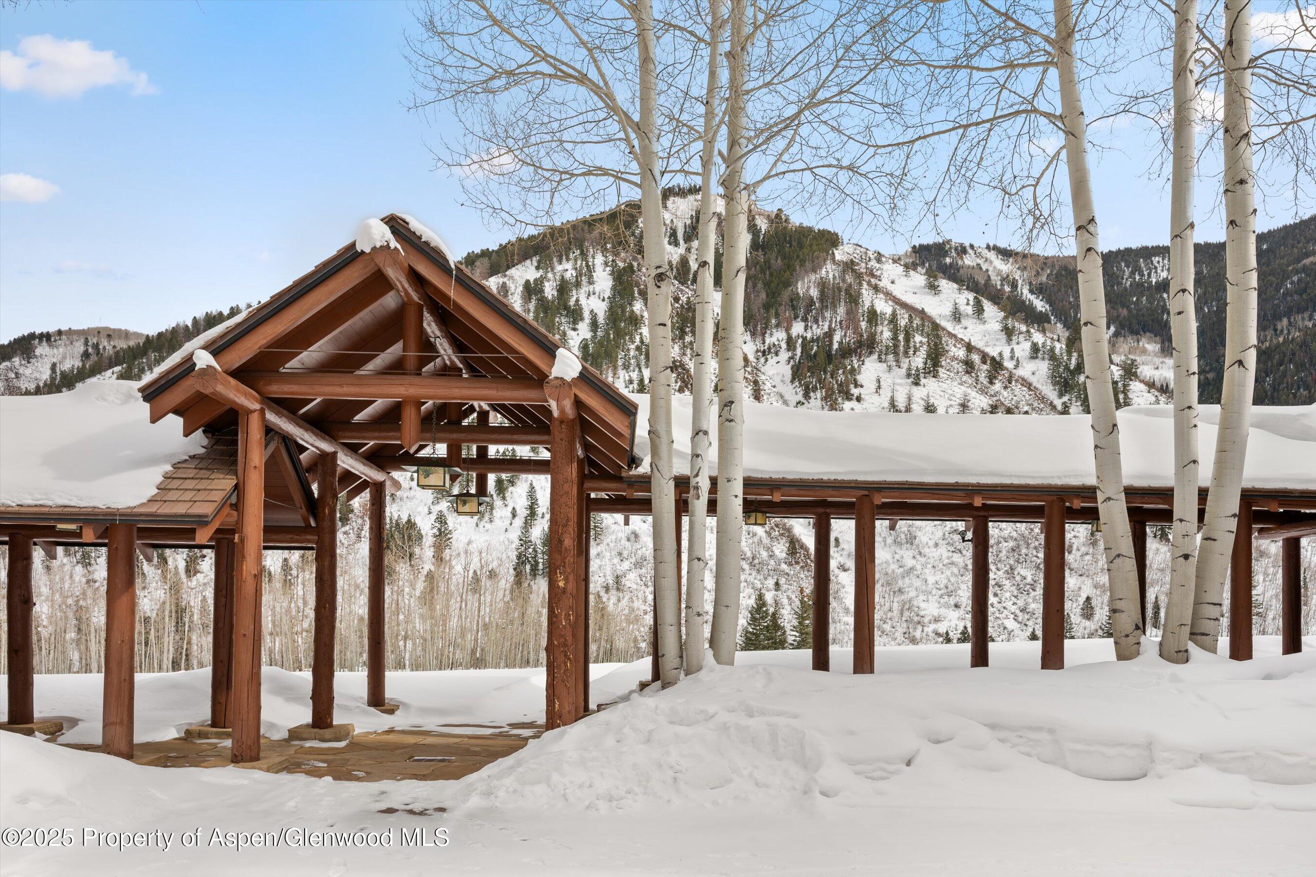 195 N Hayden Road Aspen CO 81611