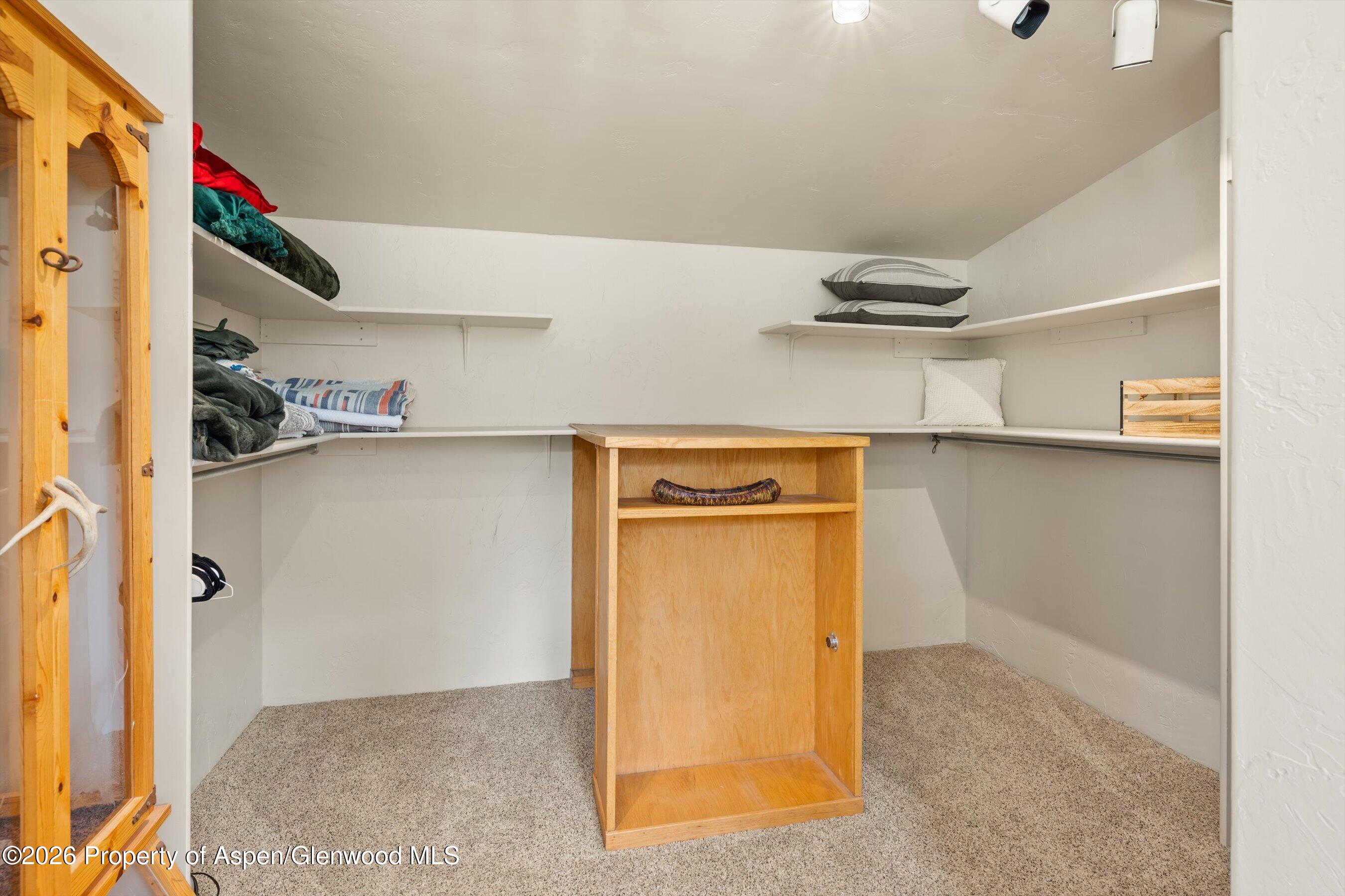 795 Serpentine Trail Marble CO 81623
