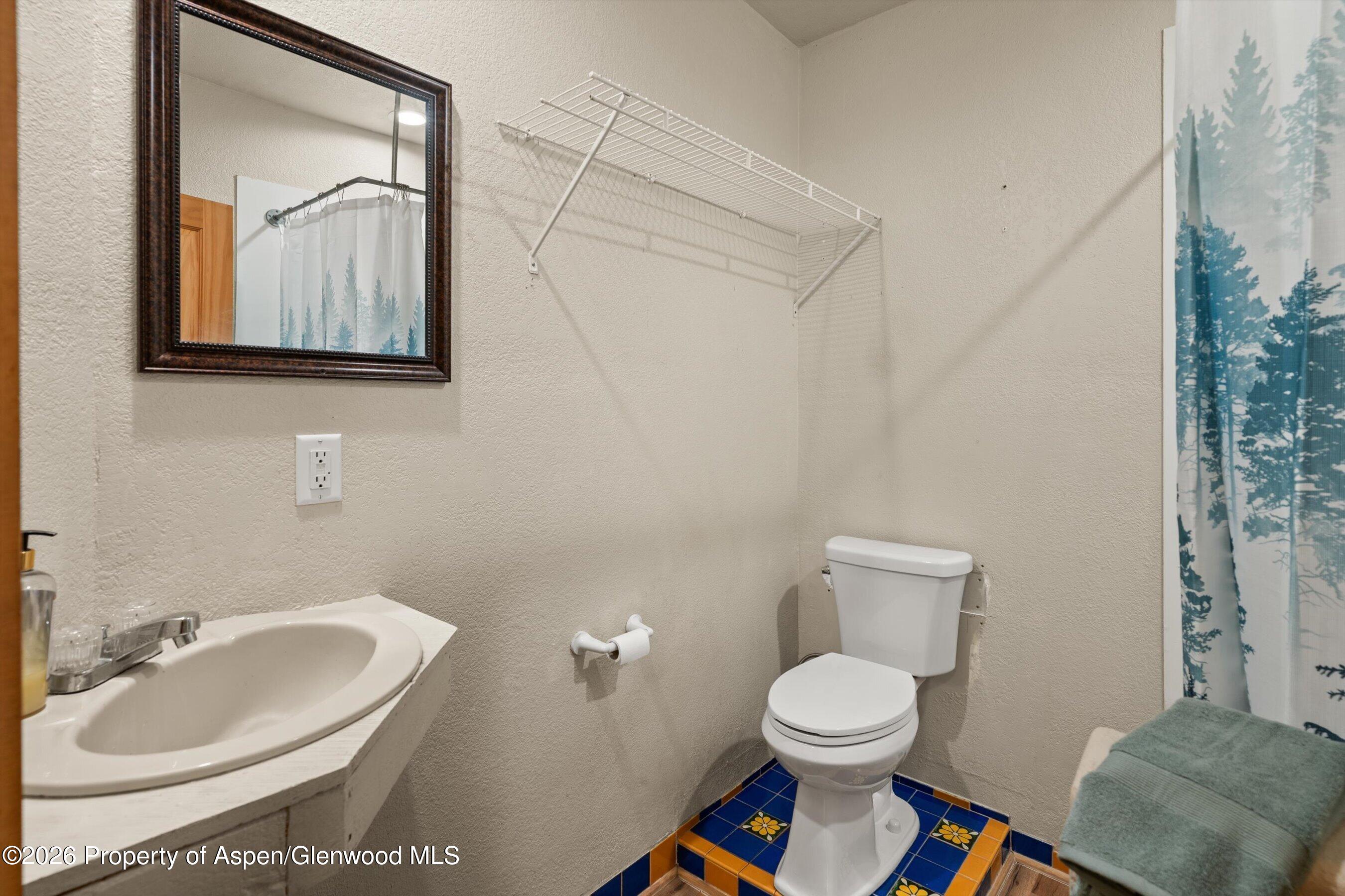 795 Serpentine Trail Marble CO 81623