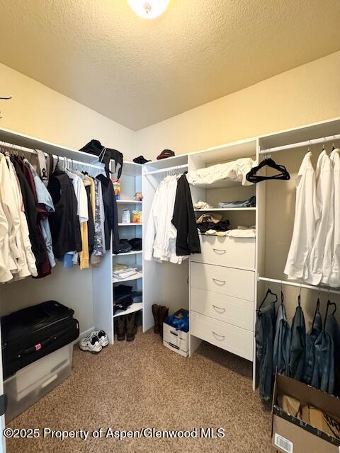 676 Overlook Drive Craig CO 81625