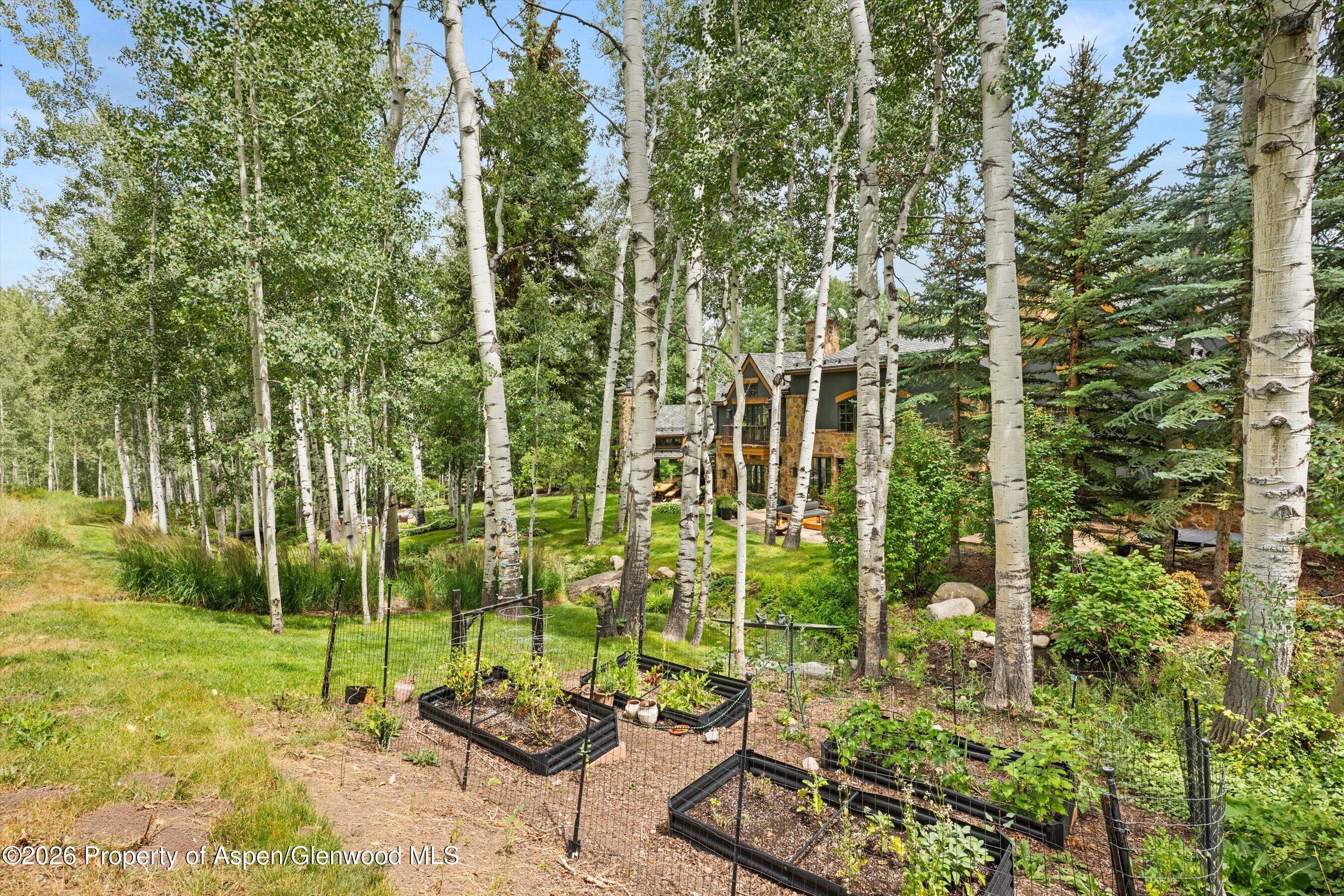 115 Blue Spruce Lane Aspen CO 81611