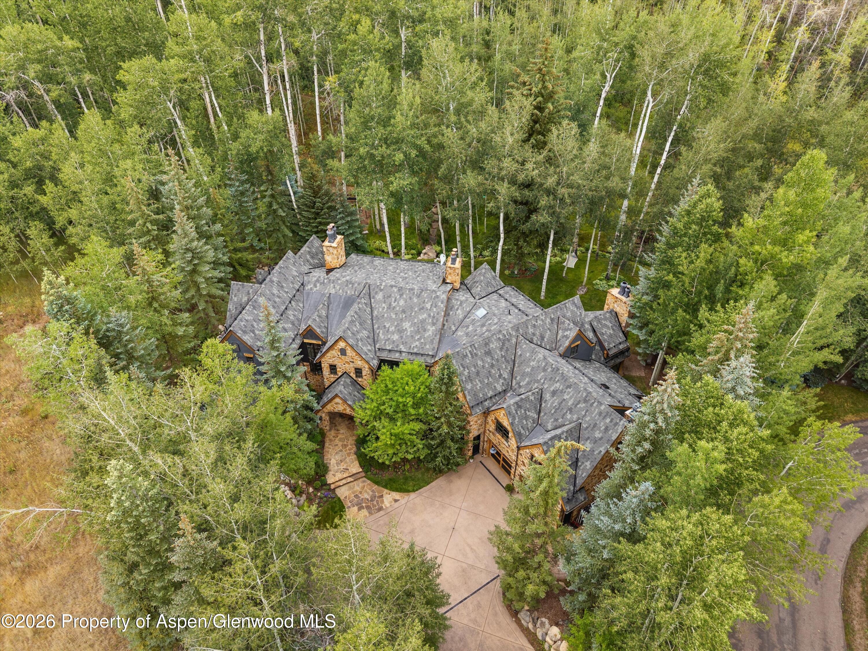 115 Blue Spruce Lane Aspen CO 81611