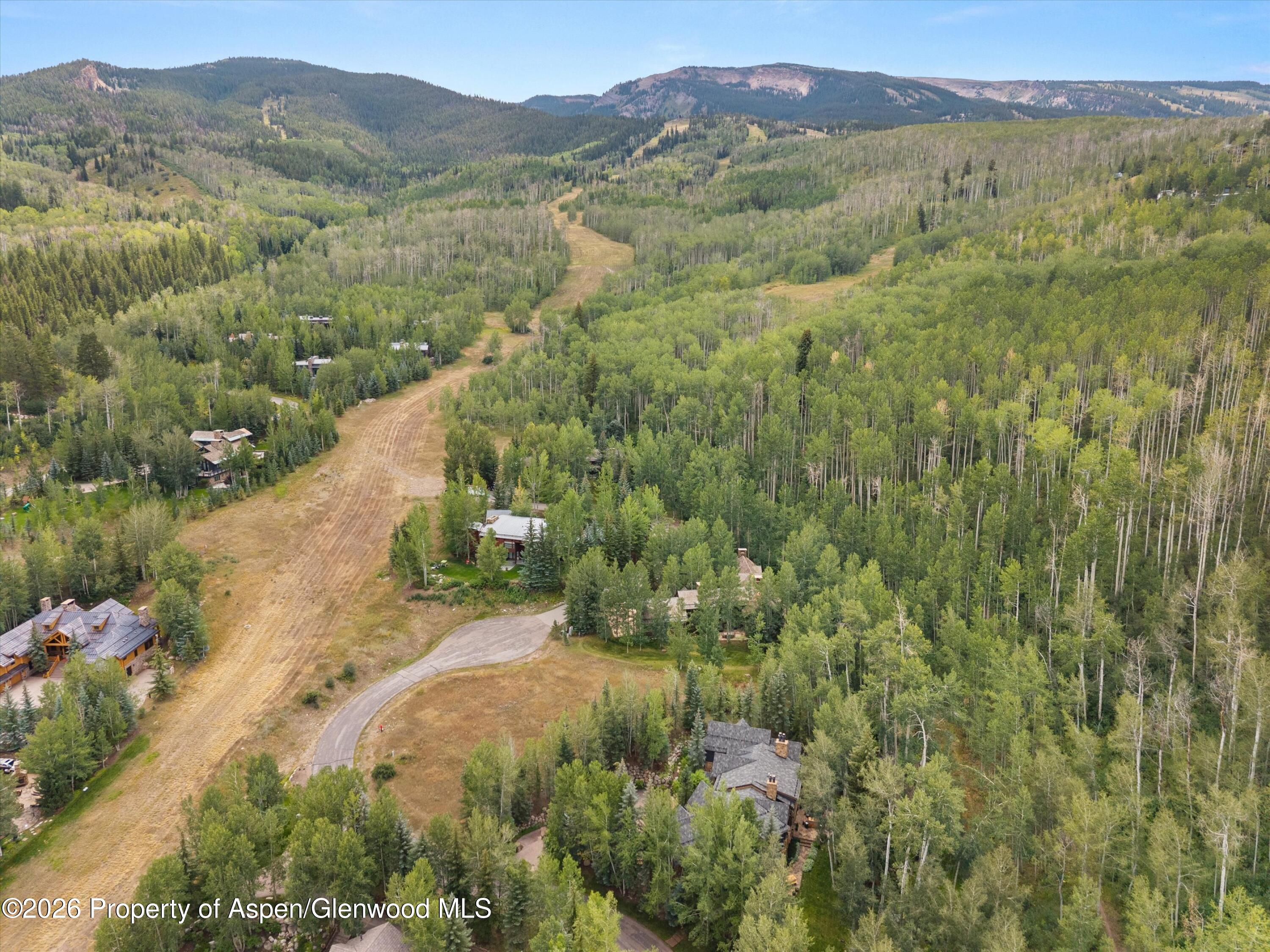 115 Blue Spruce Lane Aspen CO 81611
